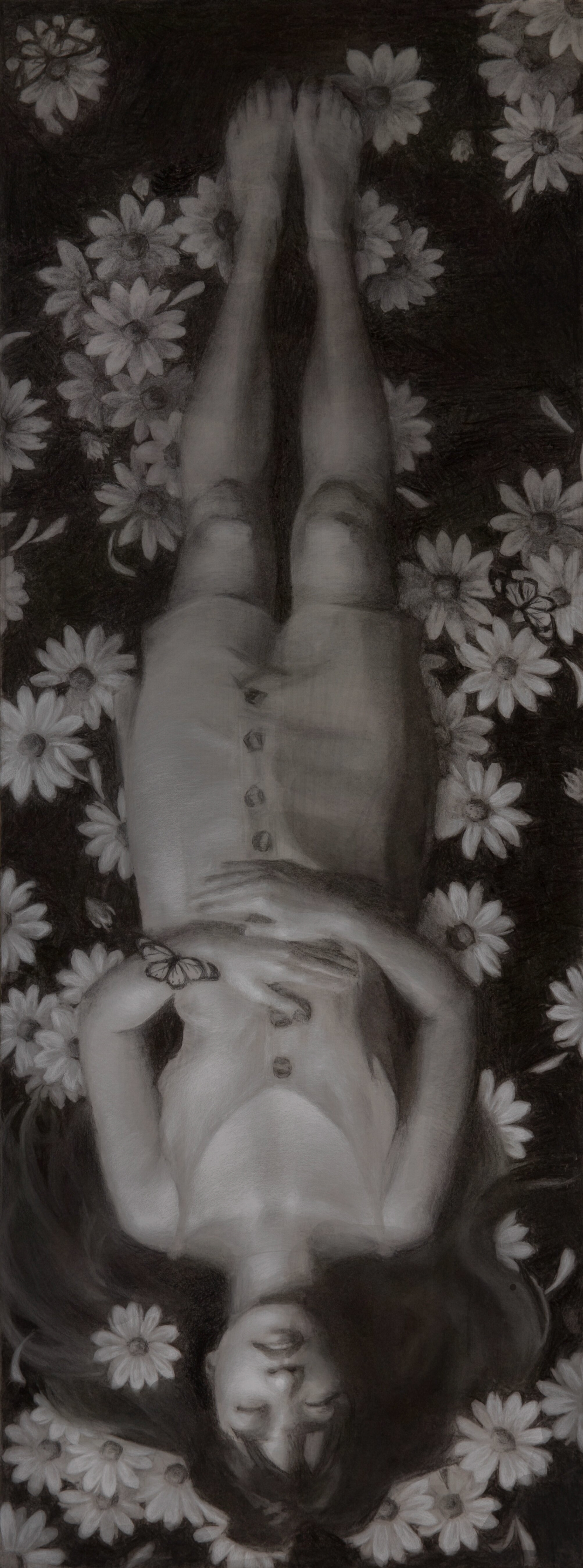 Pushing Up Daises, 2024, Charcoal and white chalk on paper, 48"x20"