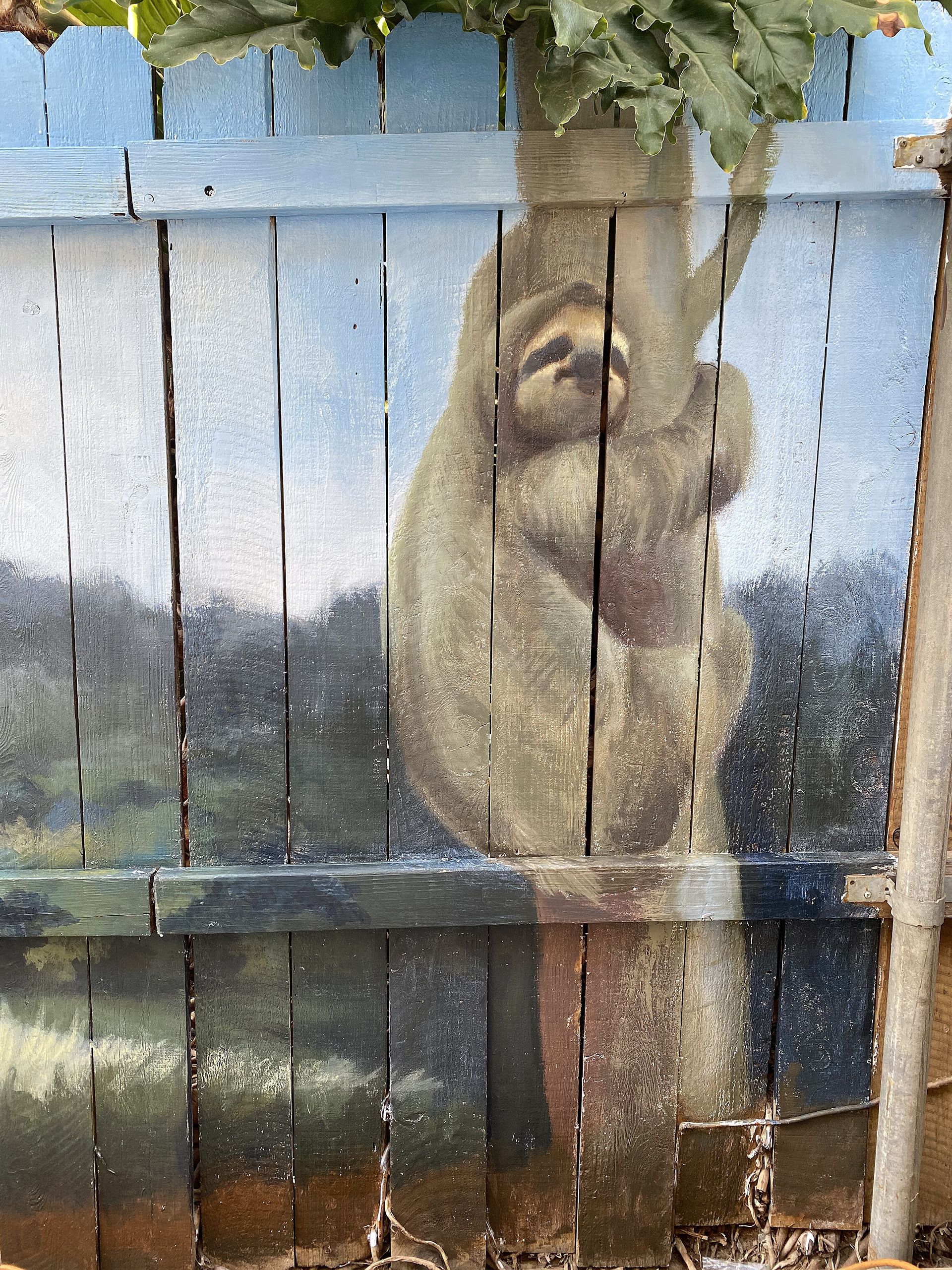 Backyard Island Sloth, 2020