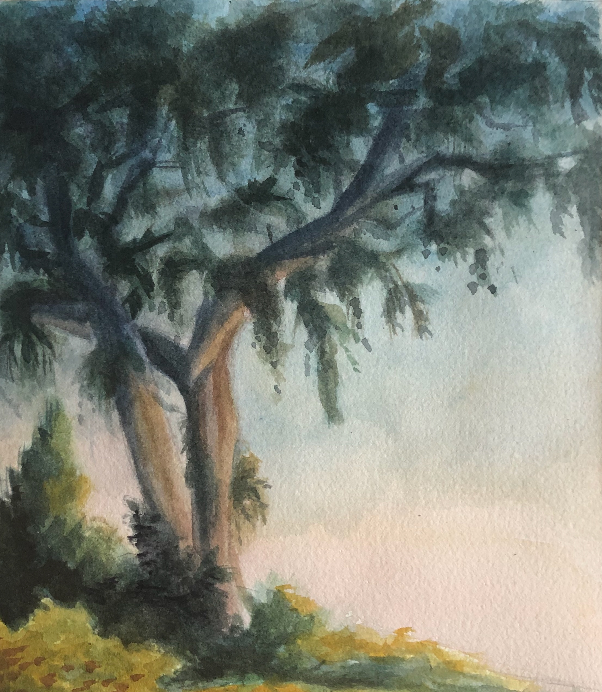 Tree and Sky Study, 2019