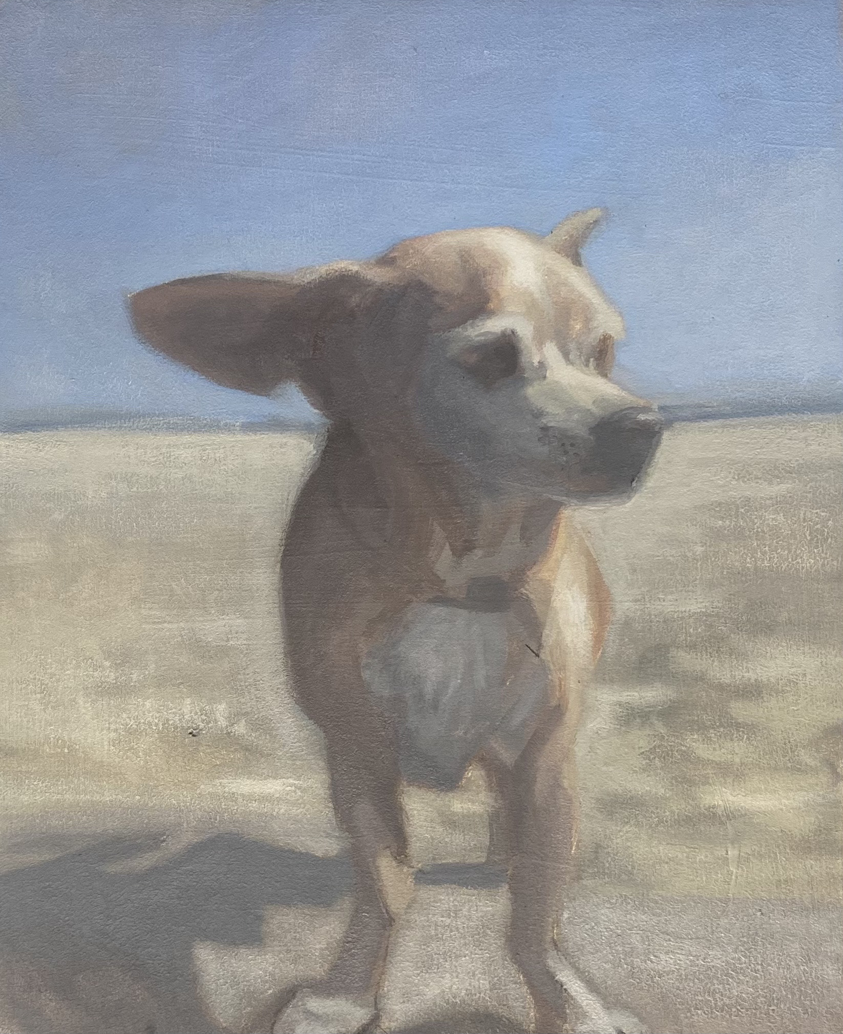 Beach Dog, 2021, oil (SOLD)