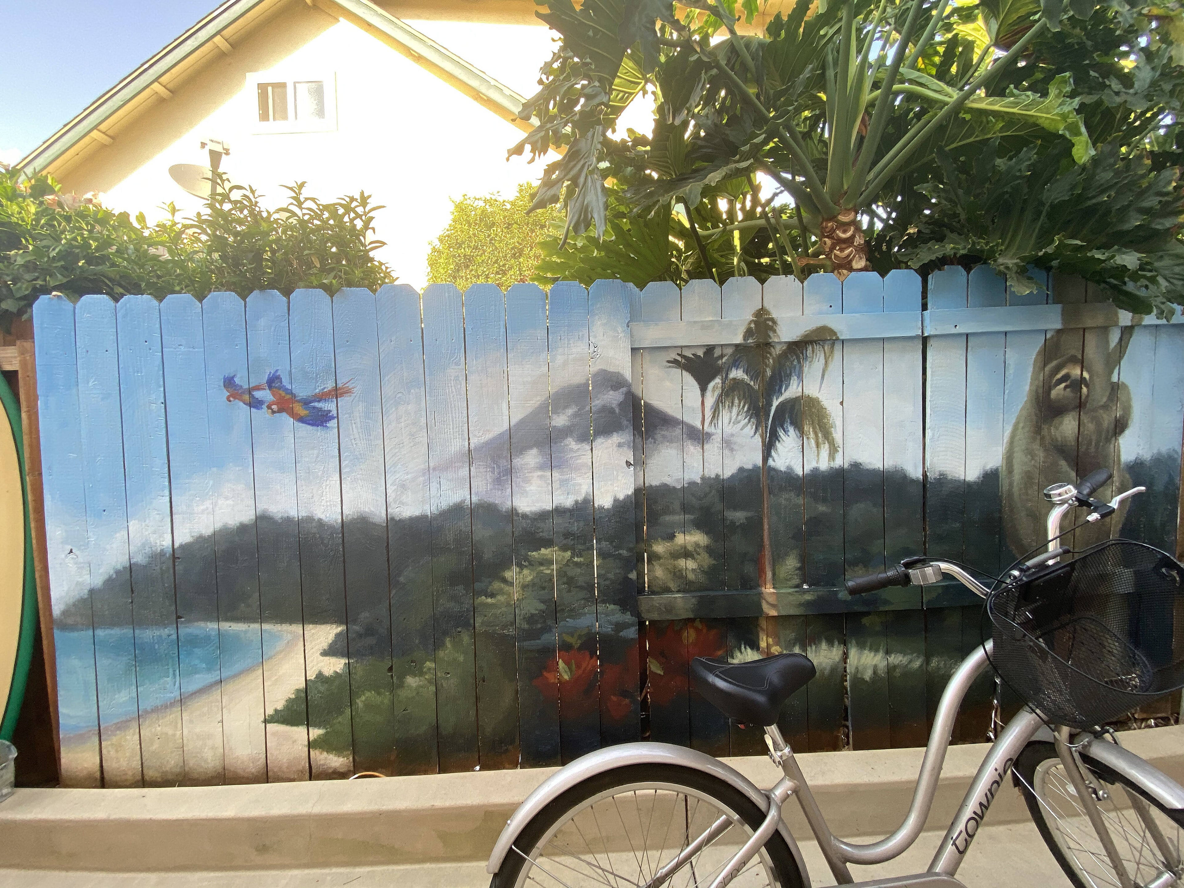 Backyard Island, 2020