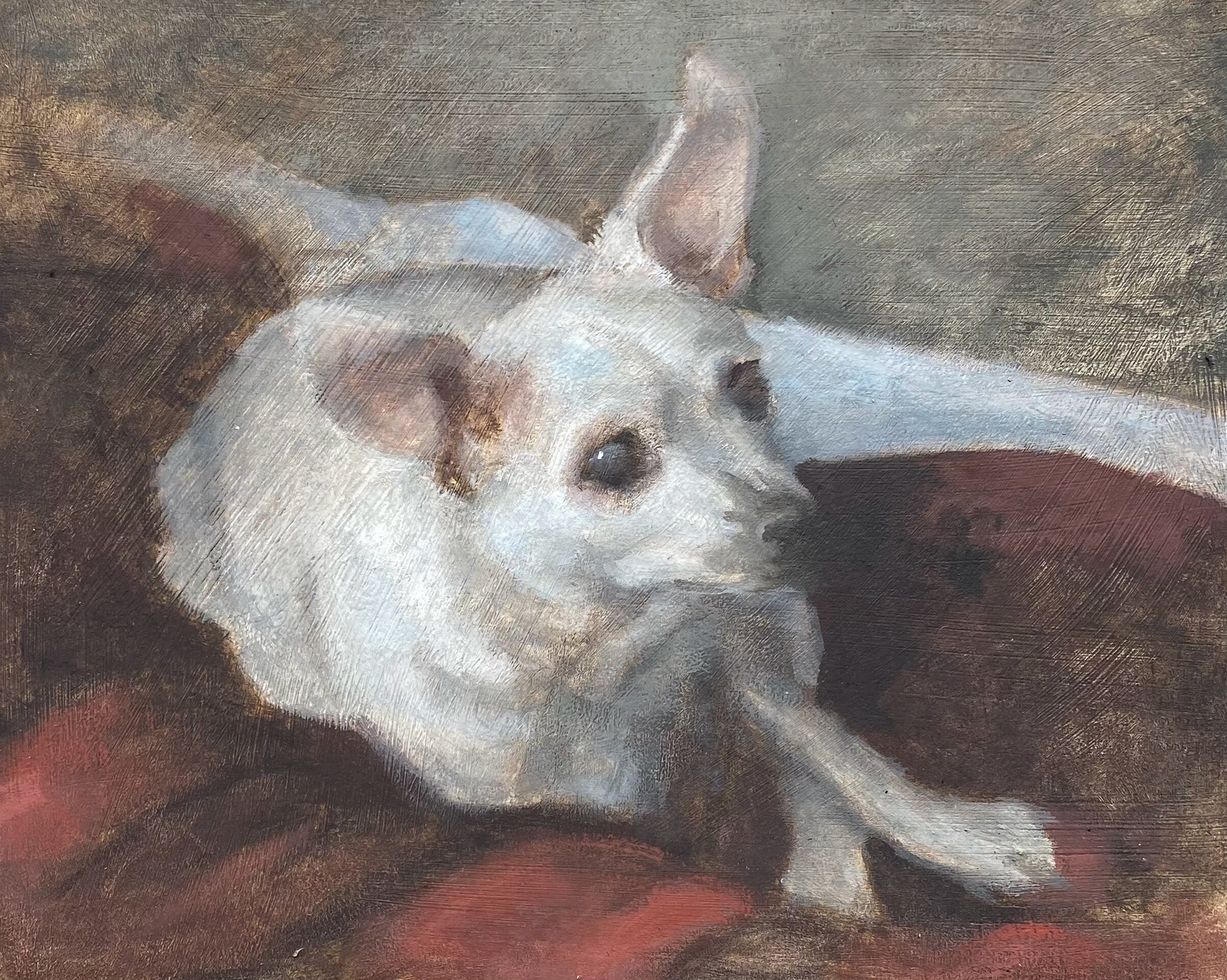 Daisy. 2021, oil (SOLD)