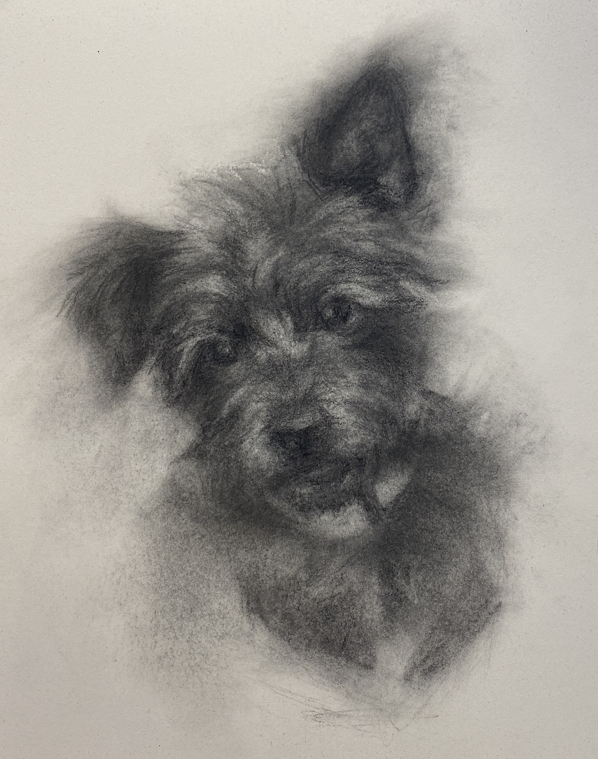 (SOLD)Molly, 2021, charcoal