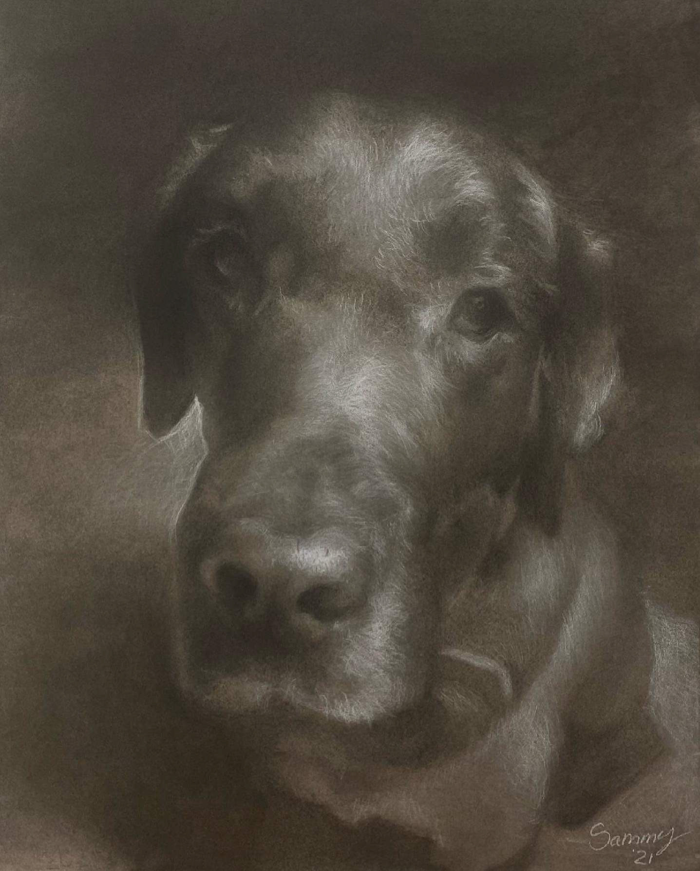 (SOLD)Sammy's Portrait, 2020, charcoal