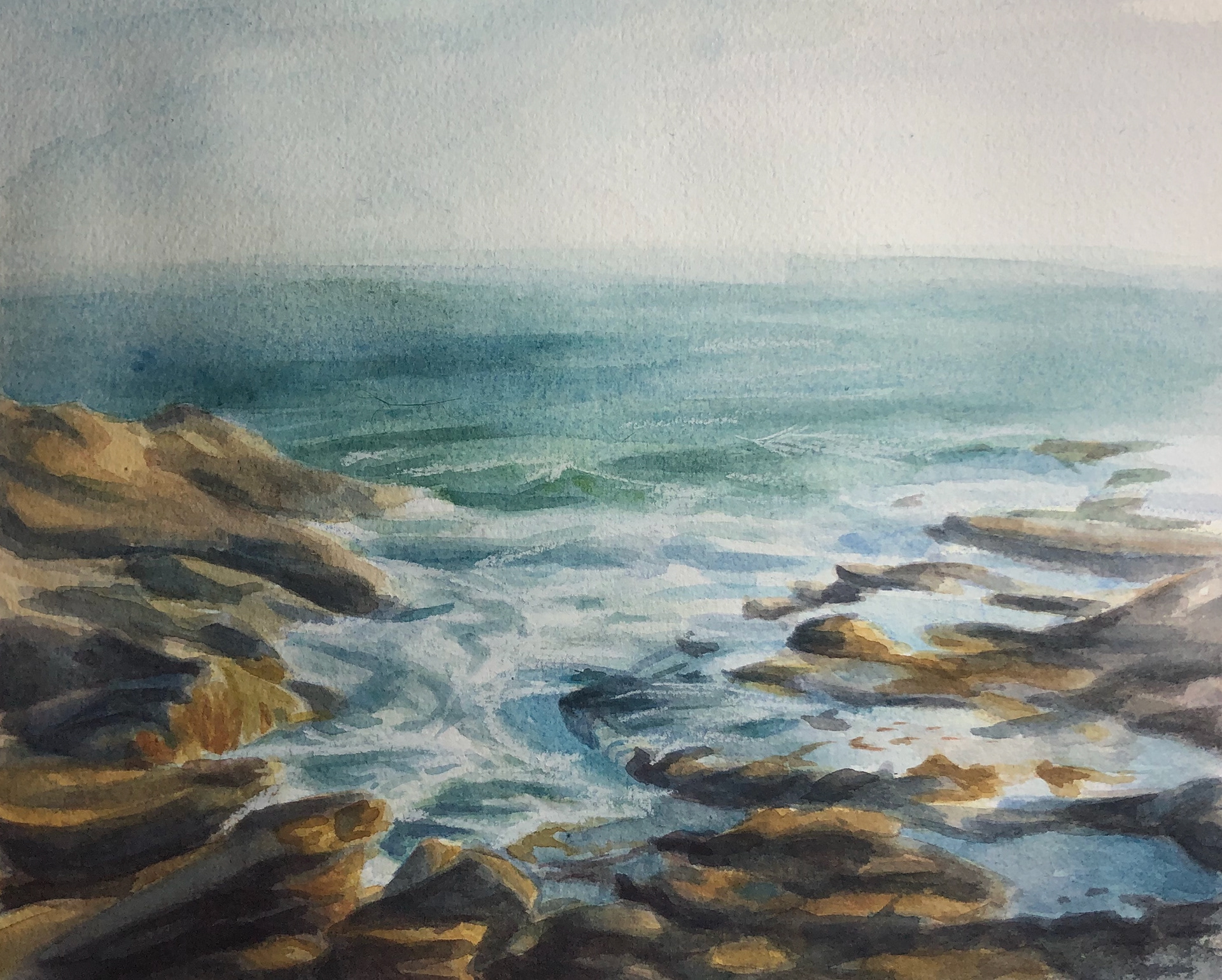 Rocky Beach Study, 2019