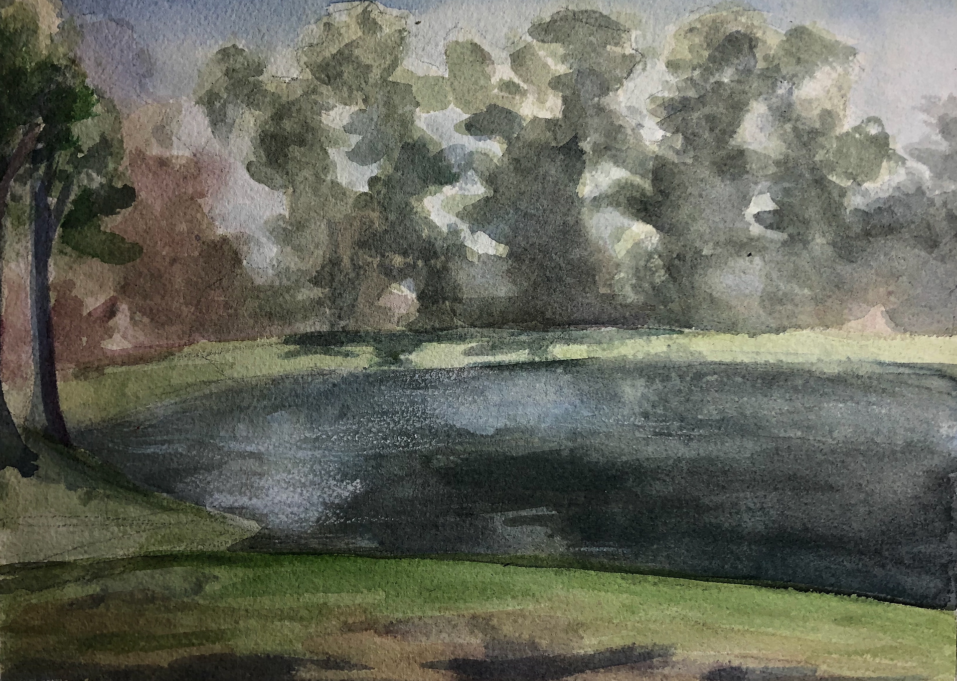Lake Study, 2019