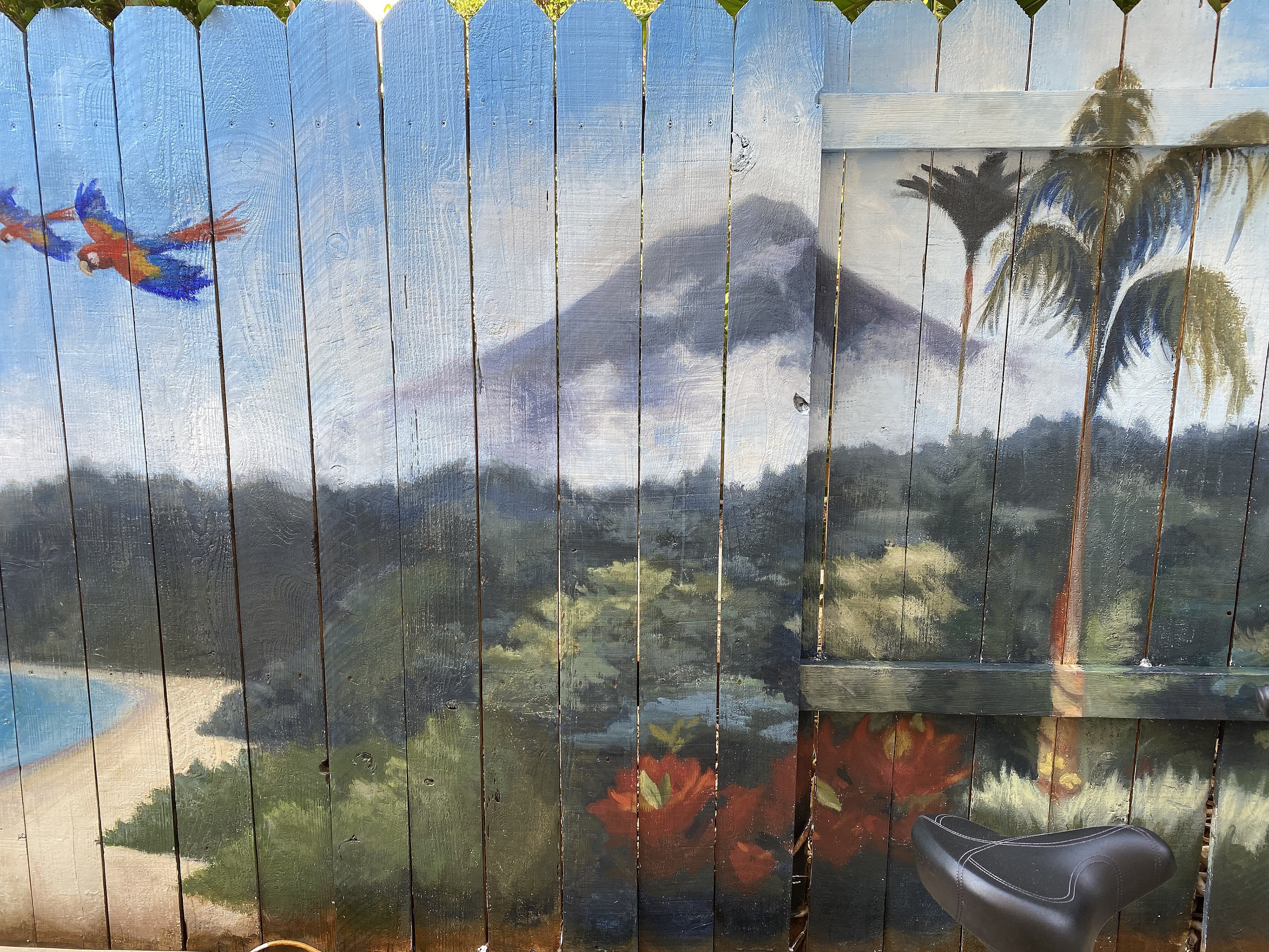 Backyard Island, 2020