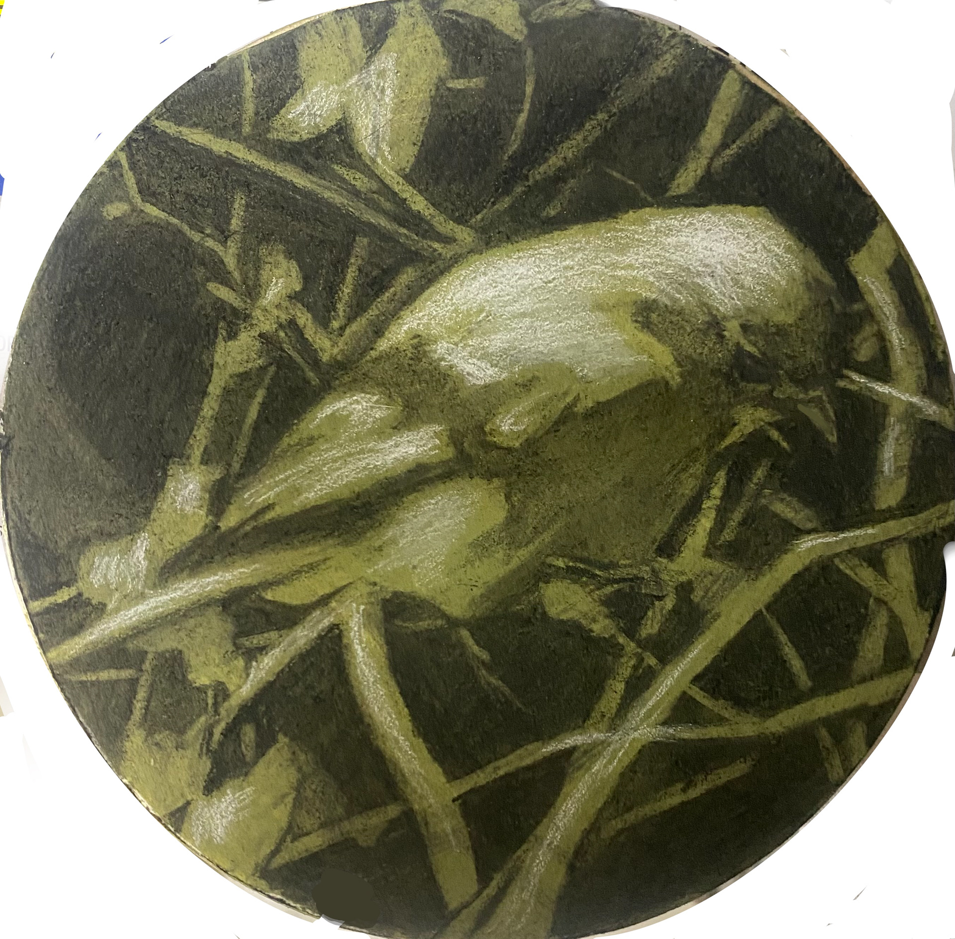 Trapped, 2023, charcoal on toned paper, 6"x6", (sold)