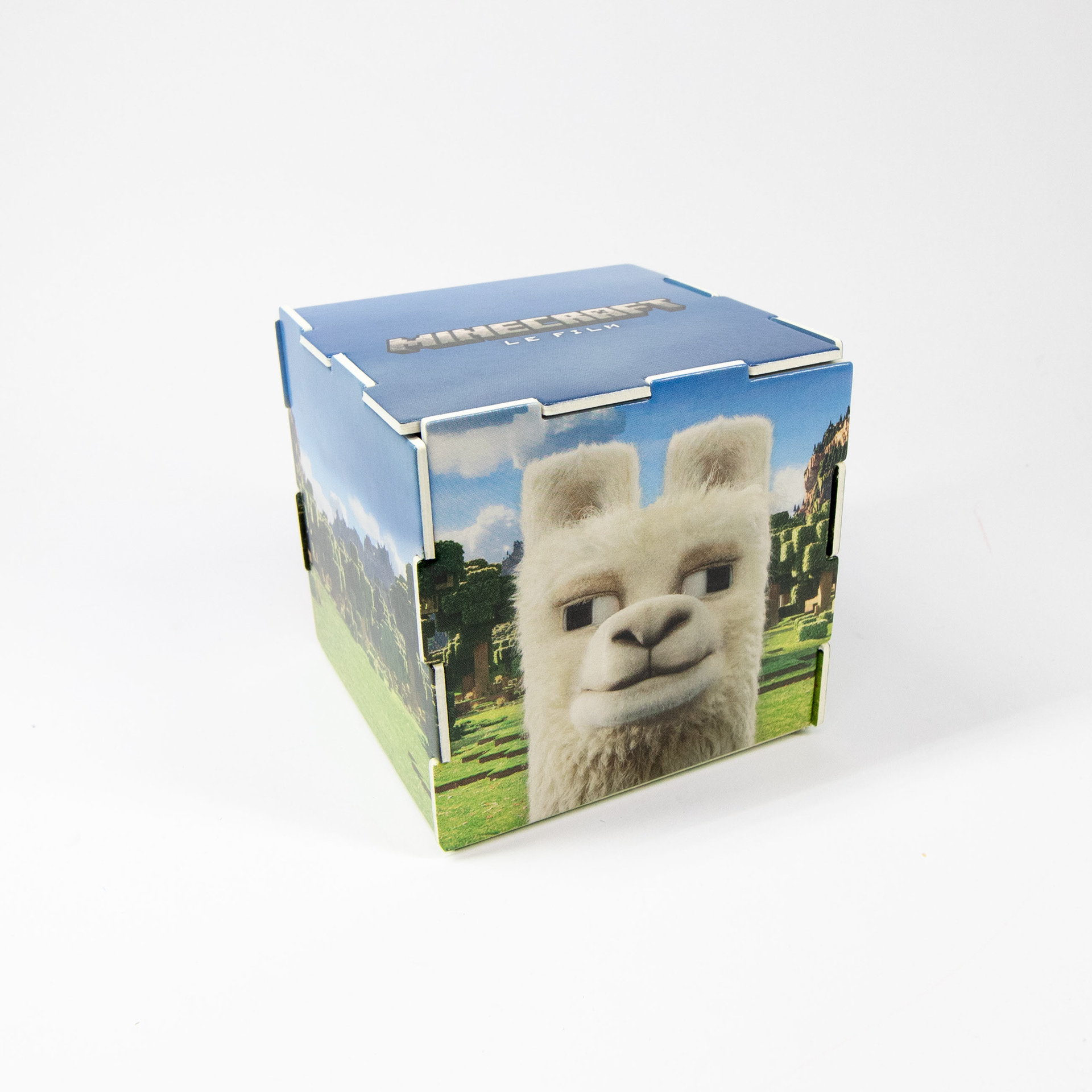 Llama block world