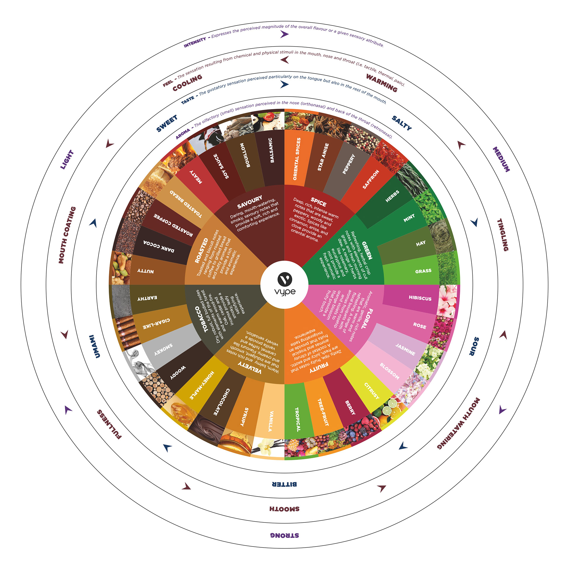 Vype – Flavour Wheel – flat artwork (consolidated)
