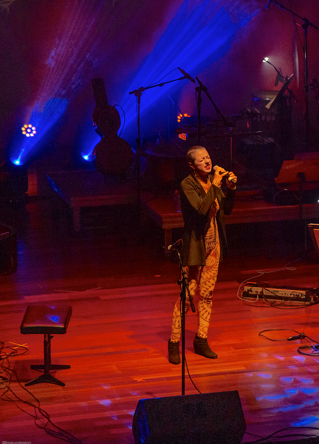 Show Wagner Tiso 60 Anos