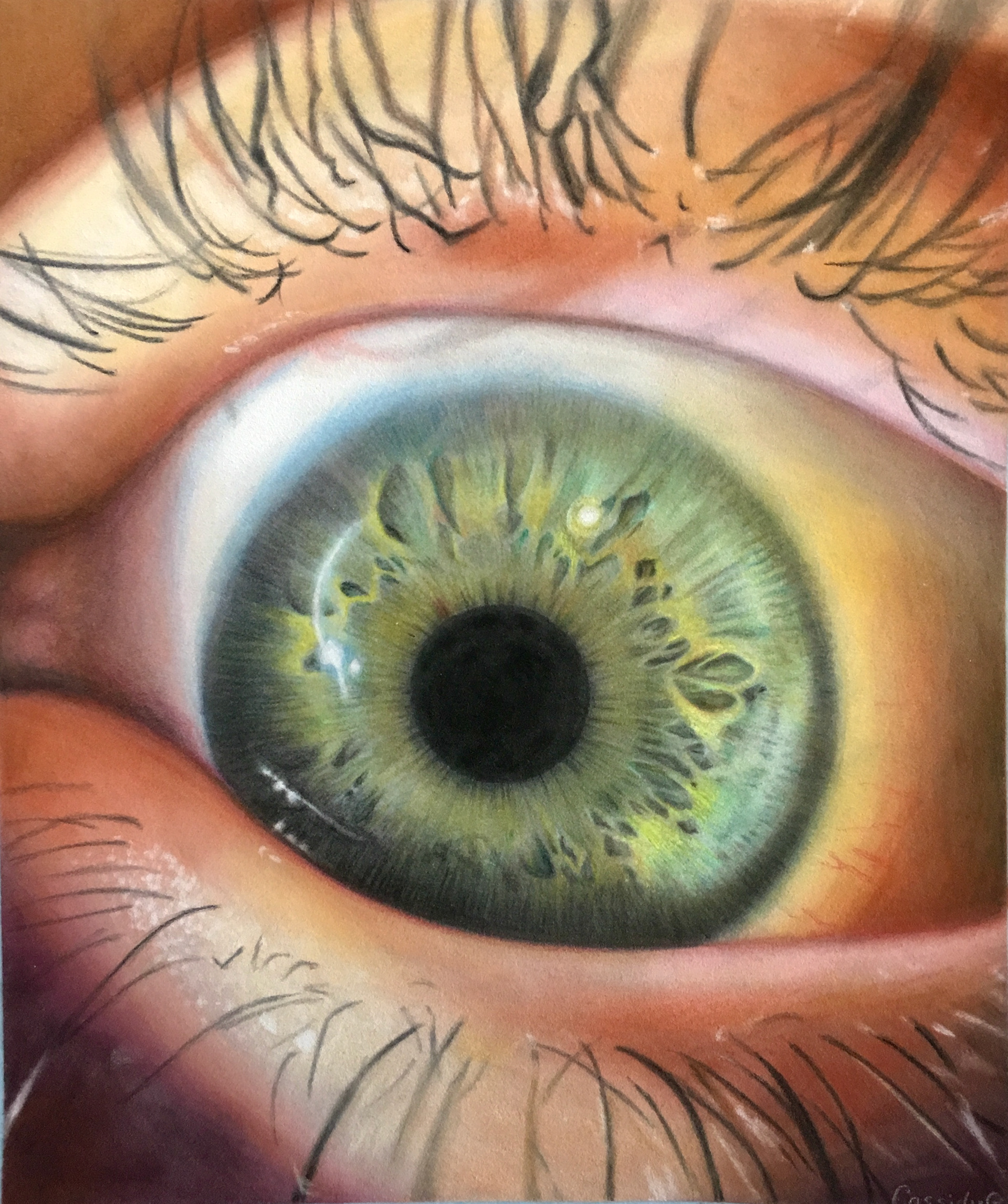 Pastel on velour paper