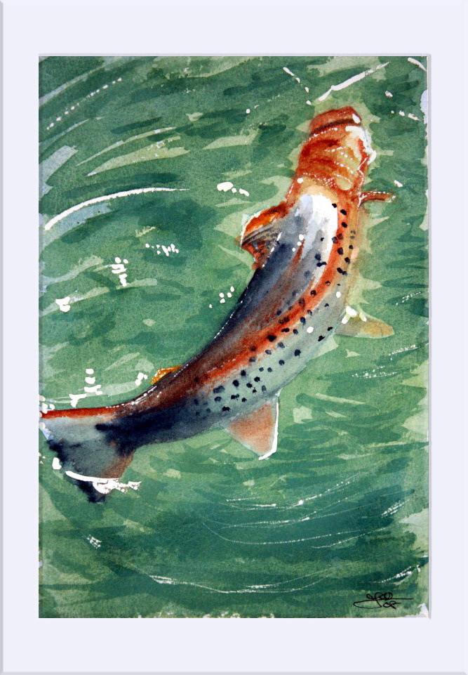 "Trucha en superficie" - Acuarela, 27x19 cm