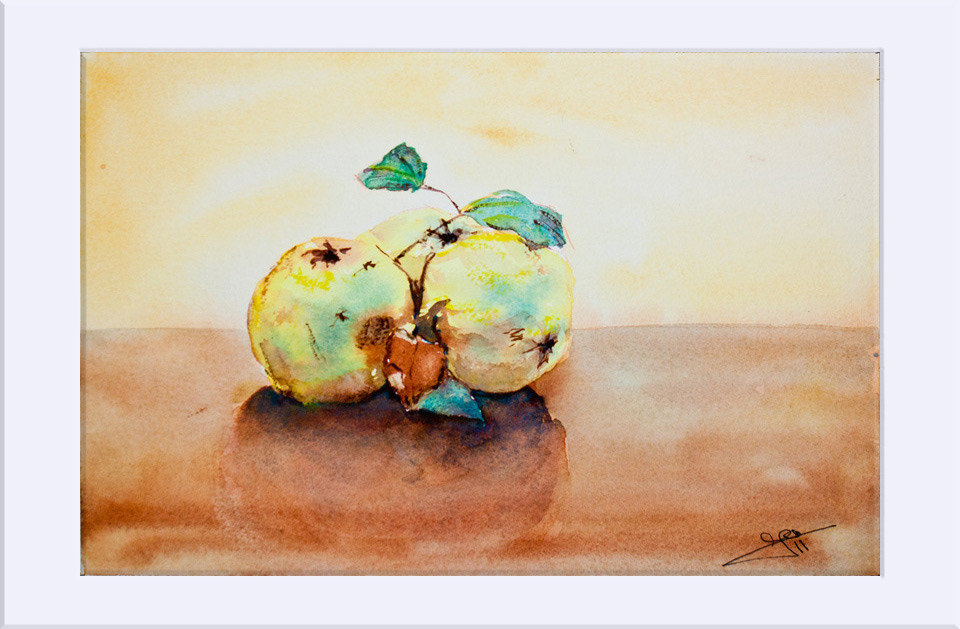 "Membrillos" - Acuarela, 19x29 cm