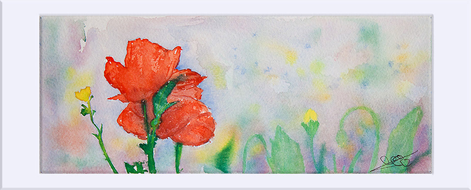 "Amapolas VI " - Acuarela, 10x228 cm