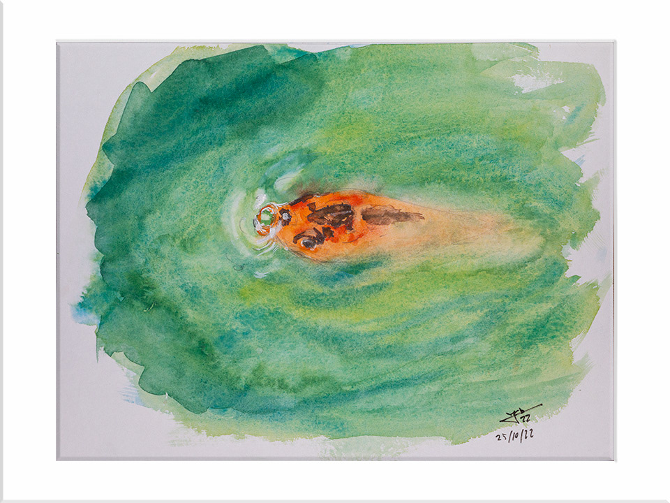 Carpa. Acuarela, 24 x 32 cm