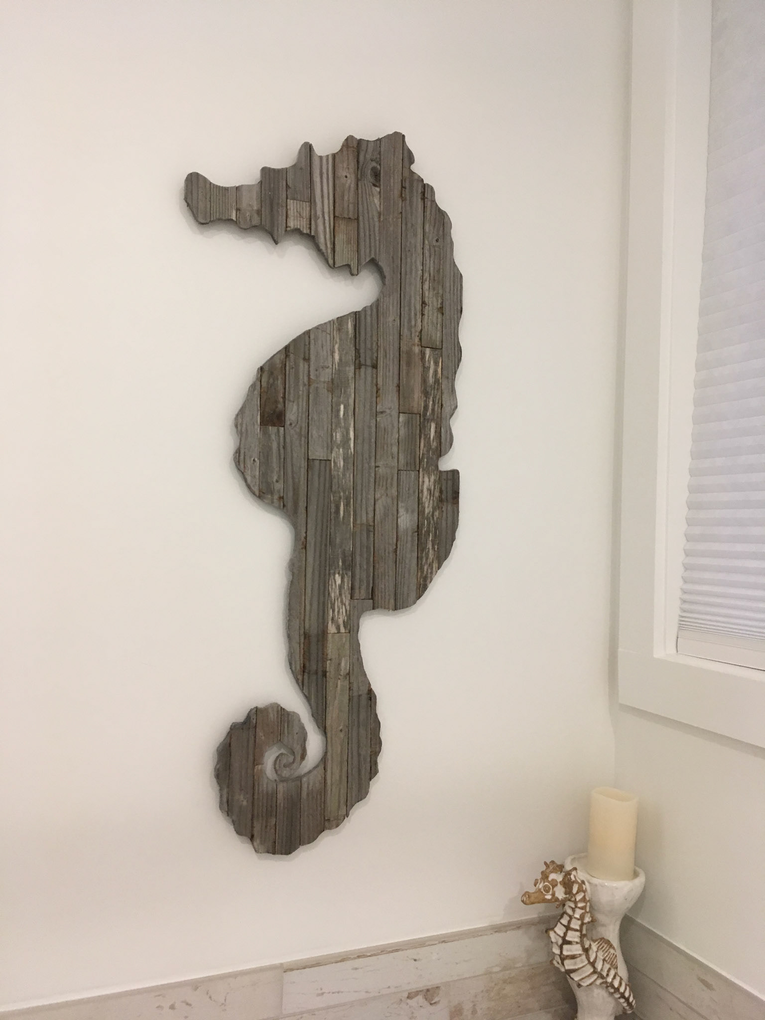 The seahorse that started it all...48in