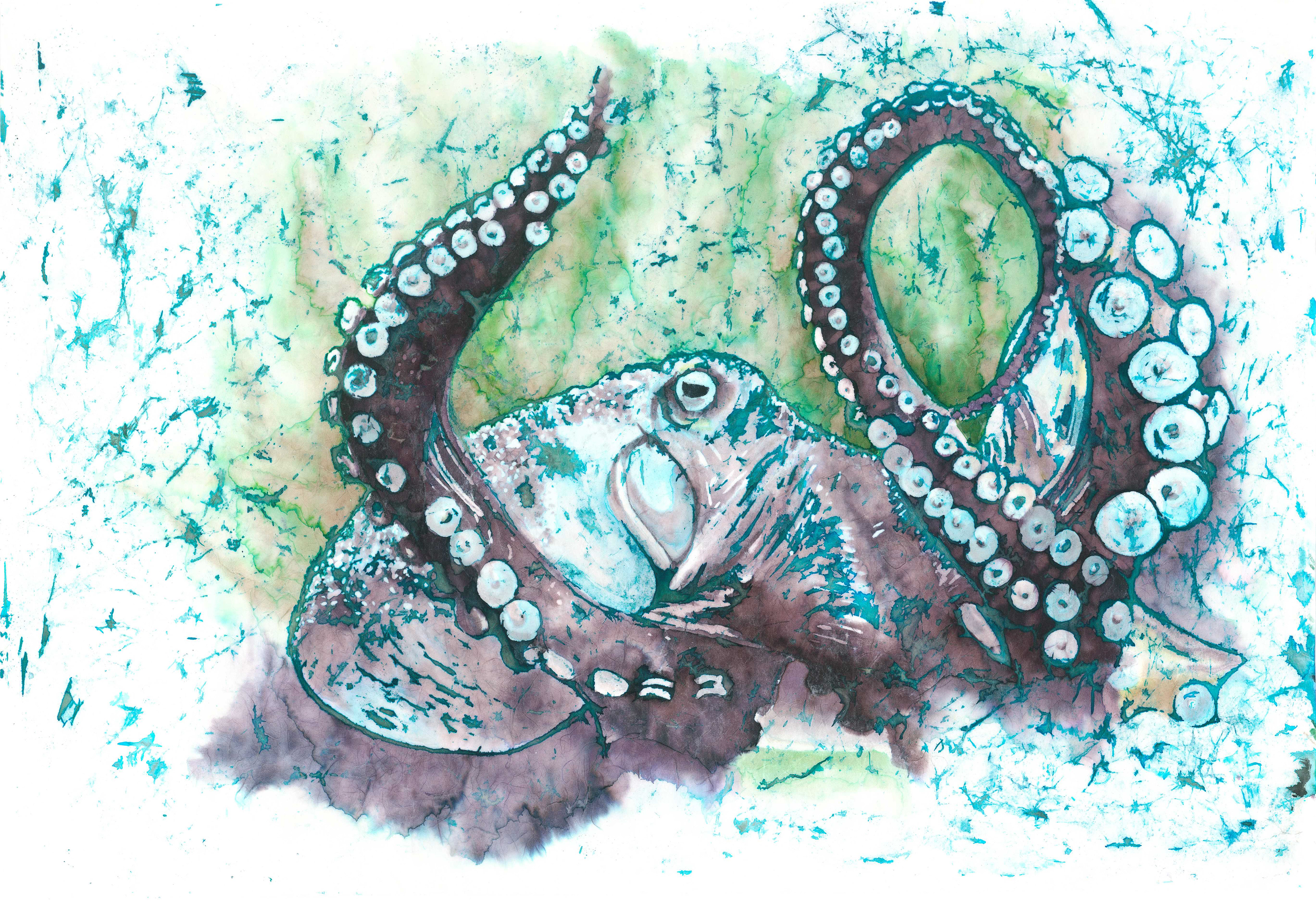 "Octopus"    34 x 22