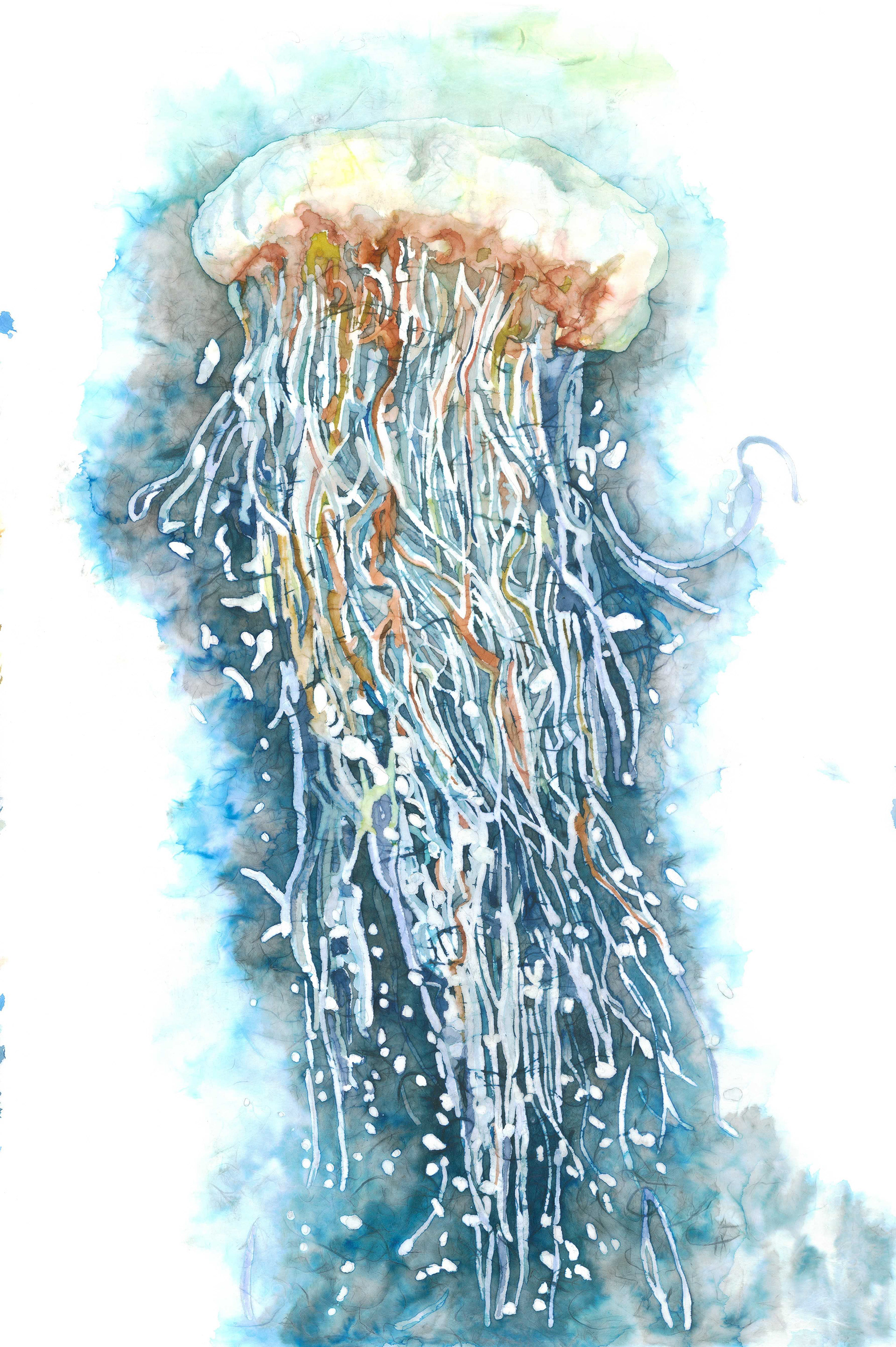 "Jelly" 20 x 34