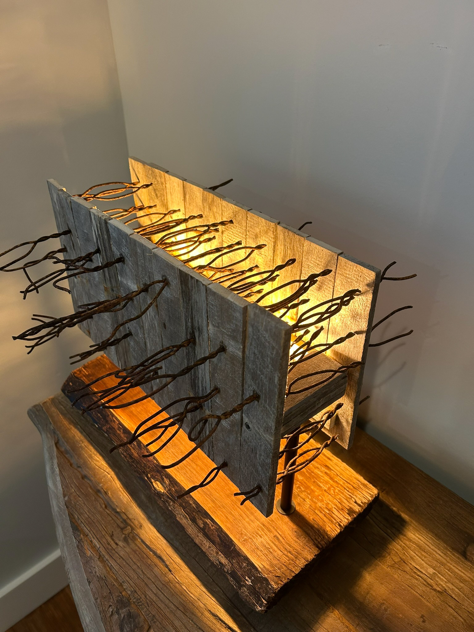 Prickly-Wire, wood, and light (SOLD)
