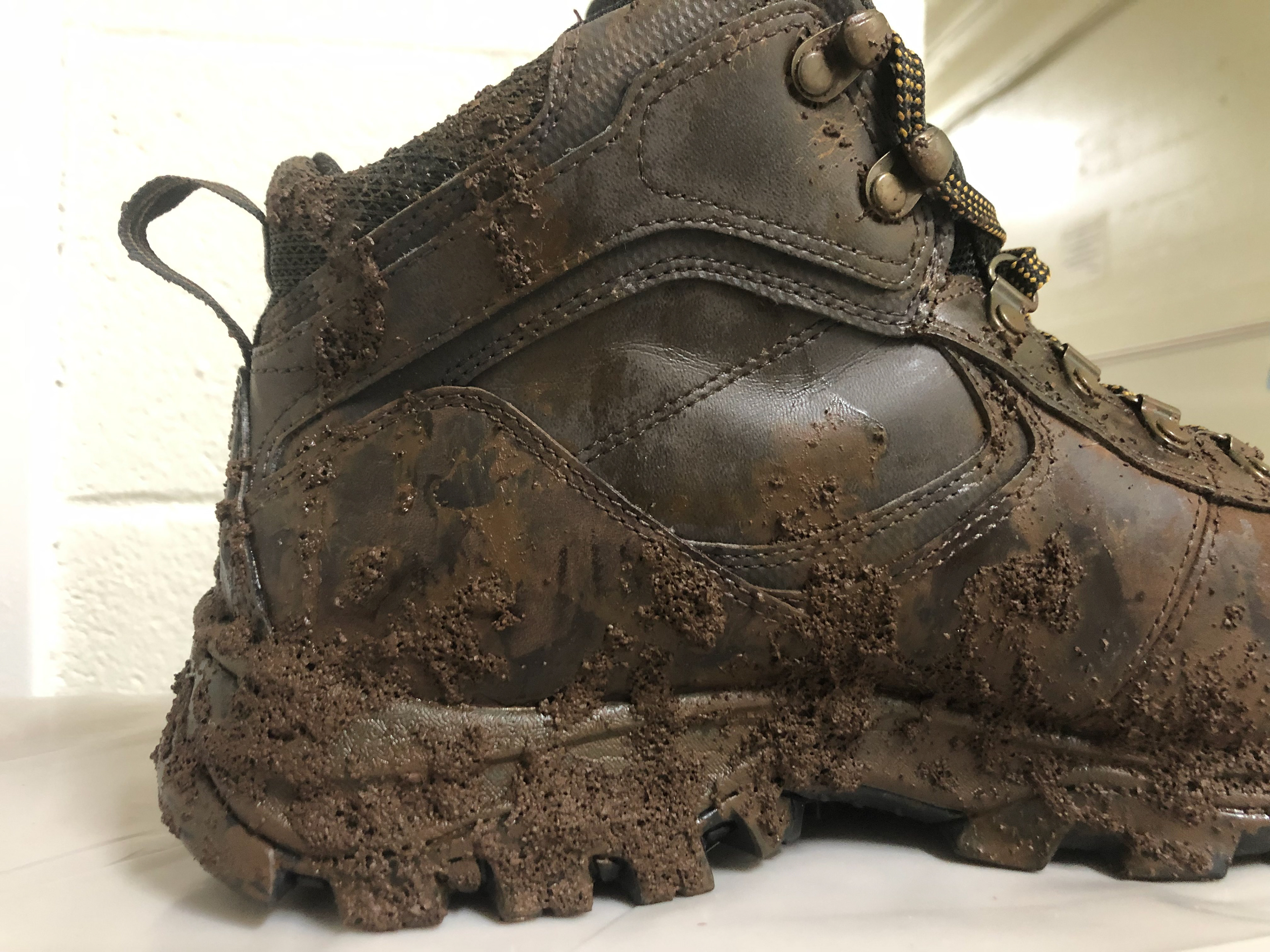 Close-up of mud