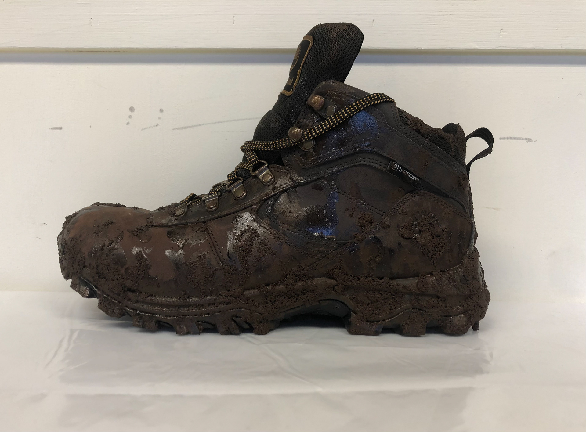 Finished shoe