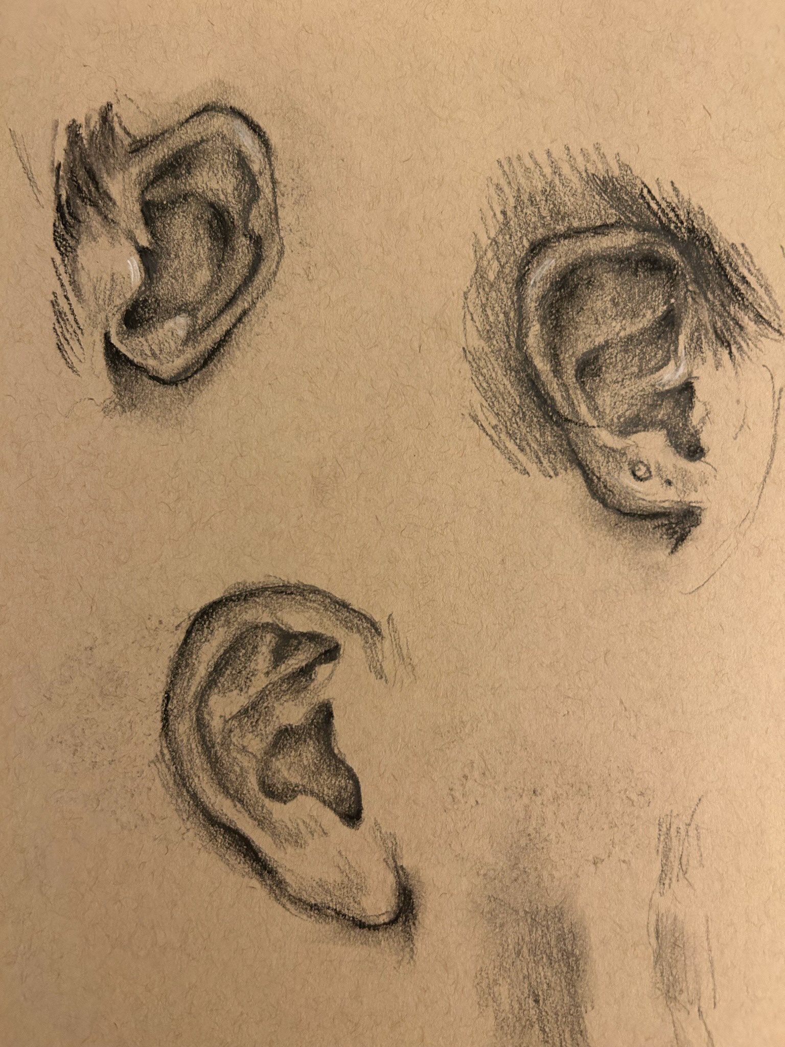 Ear Studies