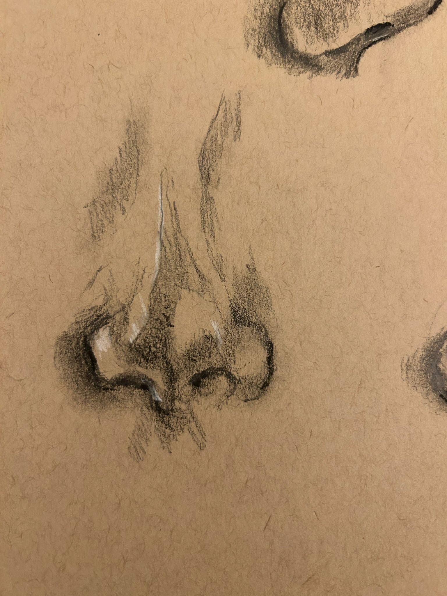 Nose Study 2