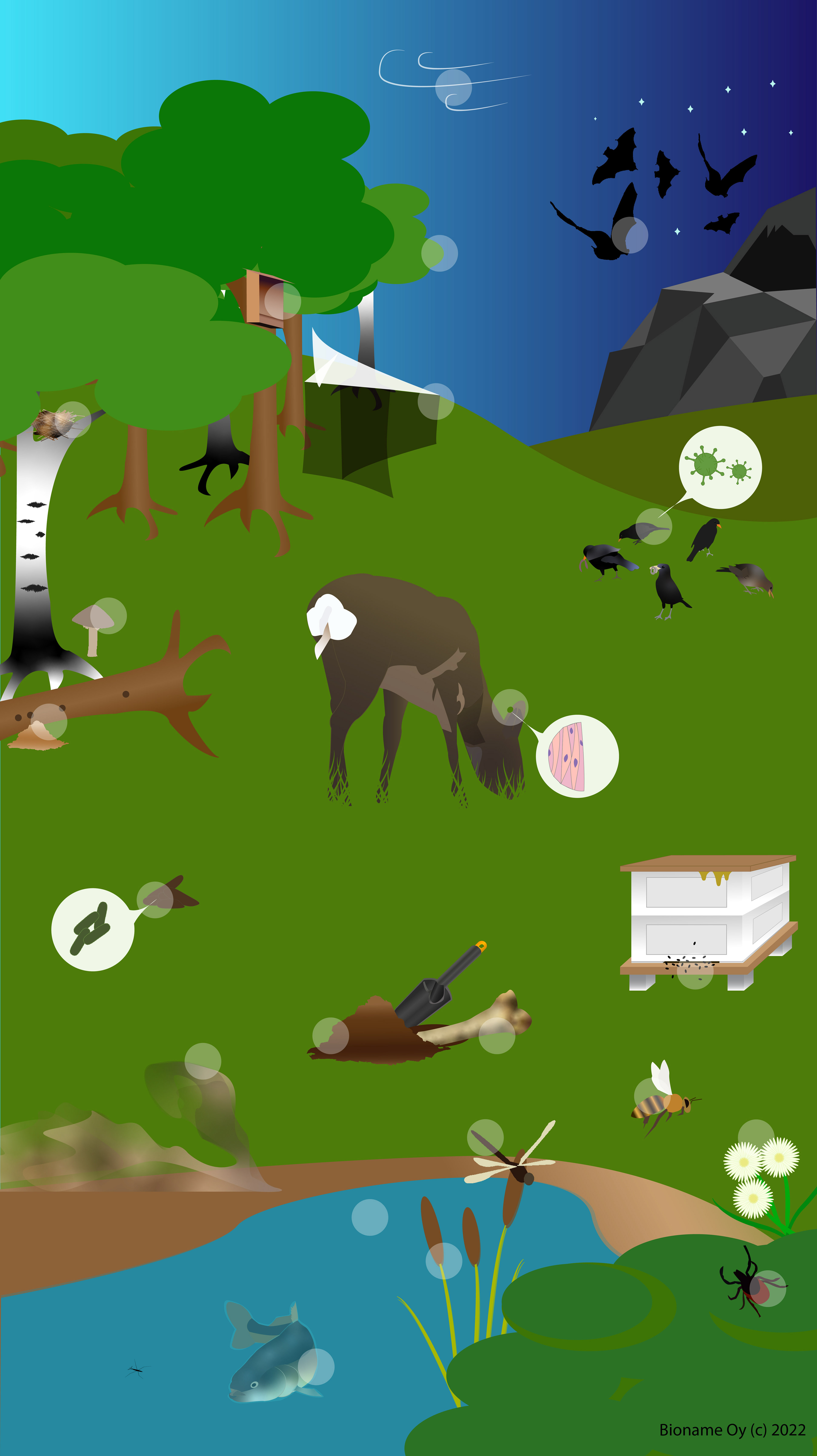 nature visualisation for phone