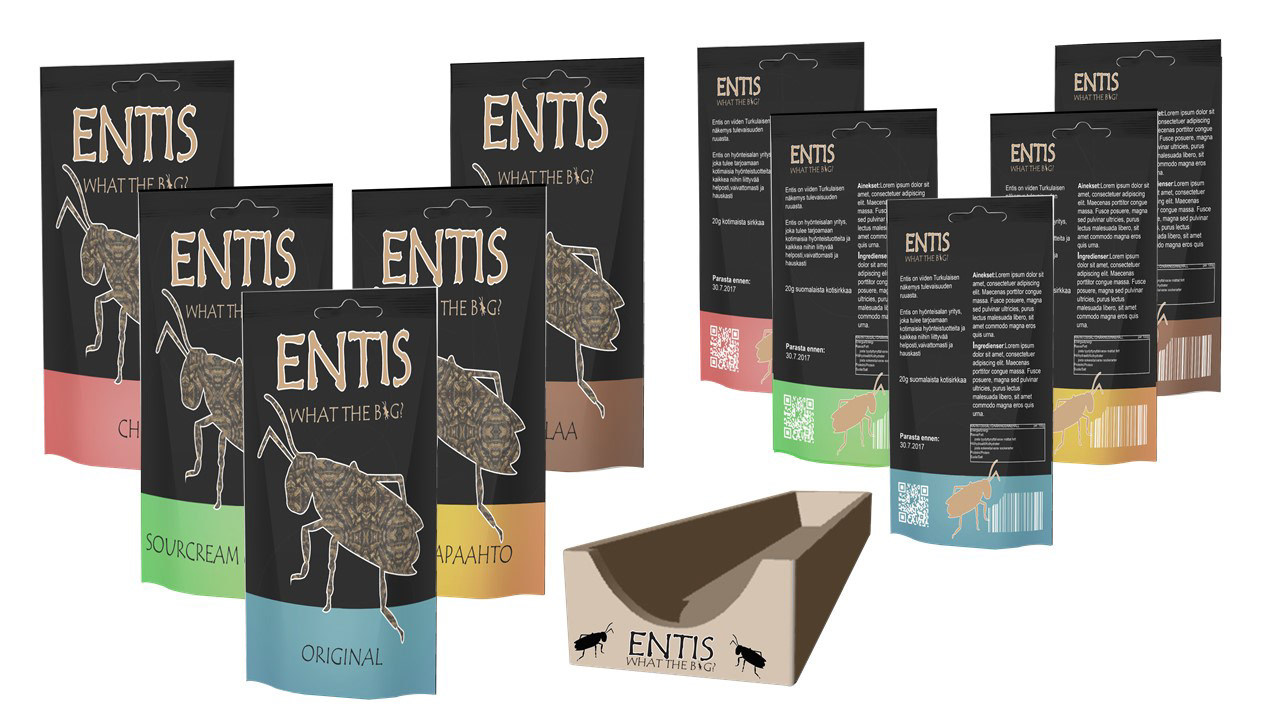 Entis concept design 01 2017