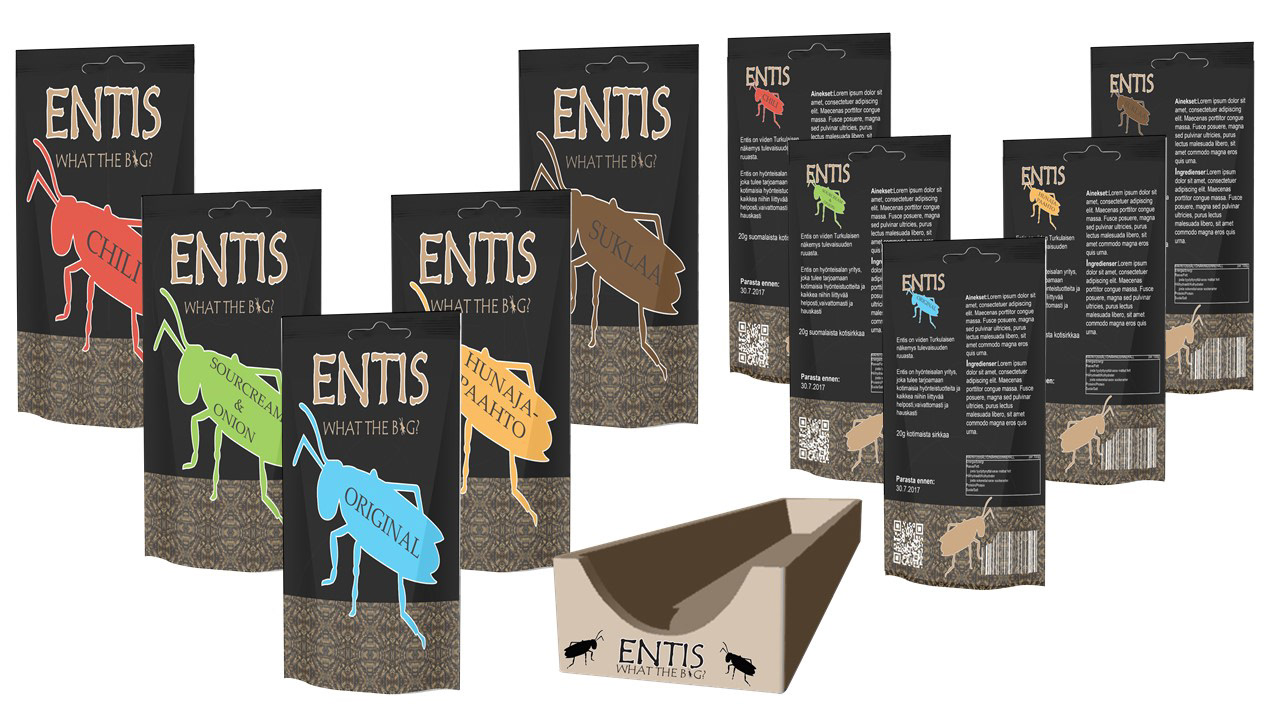 Ensits concept design 02 2017