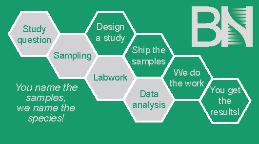 businesscard