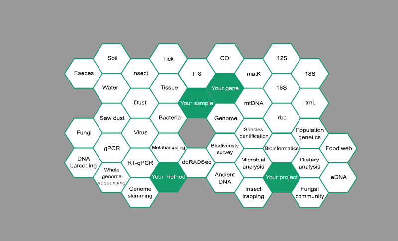 2D gif about services