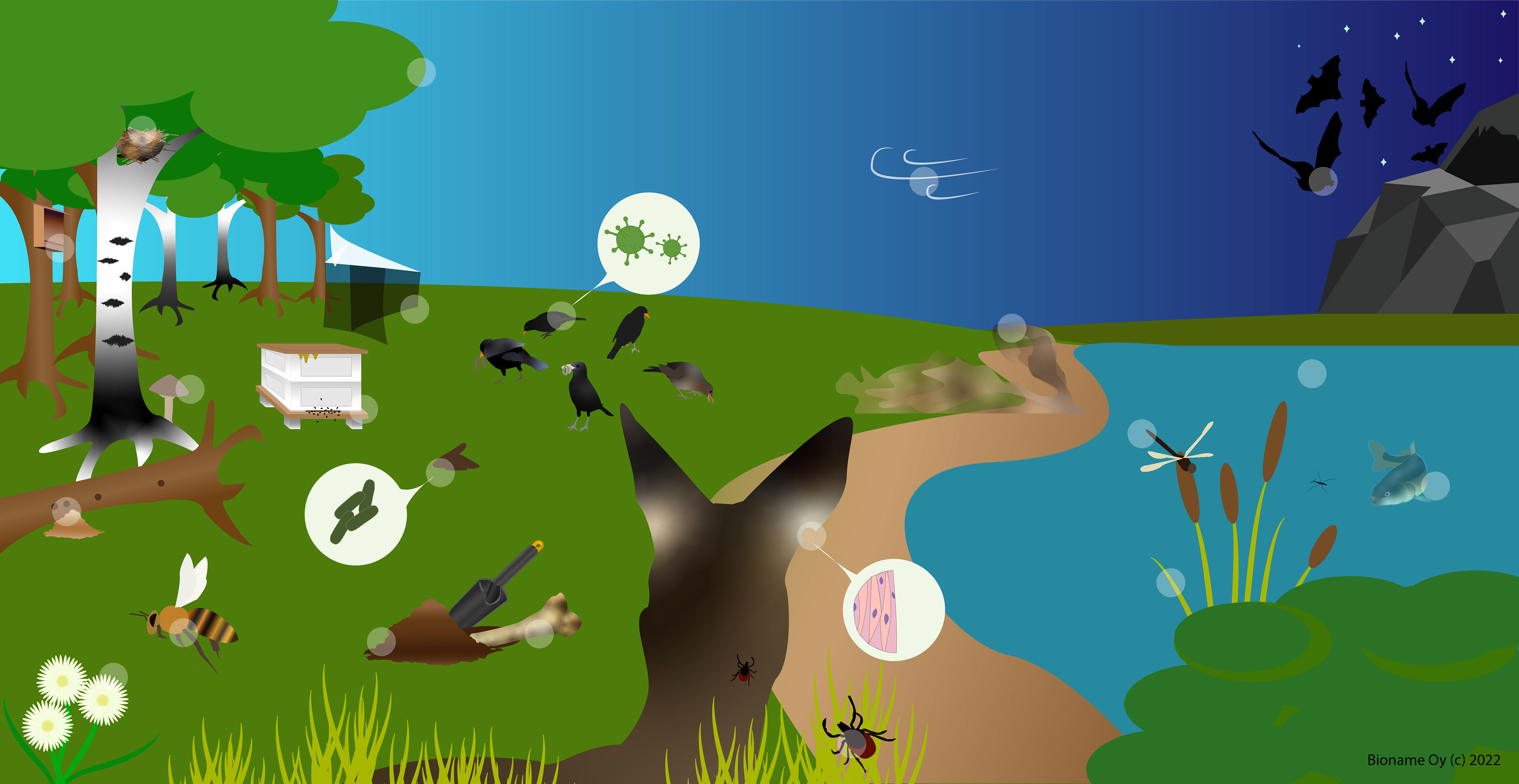 Nature visualisation for computer