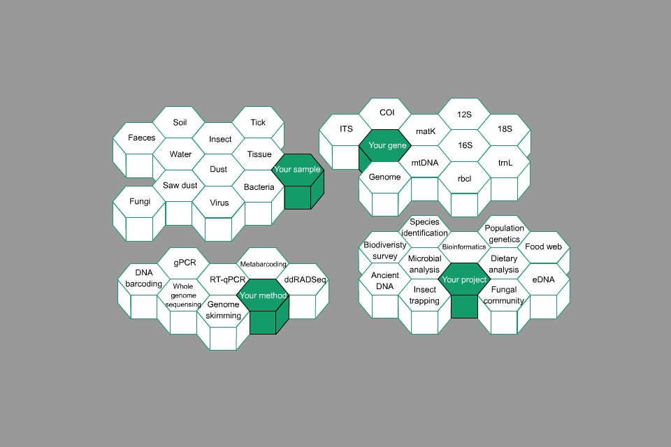 3D gif about services