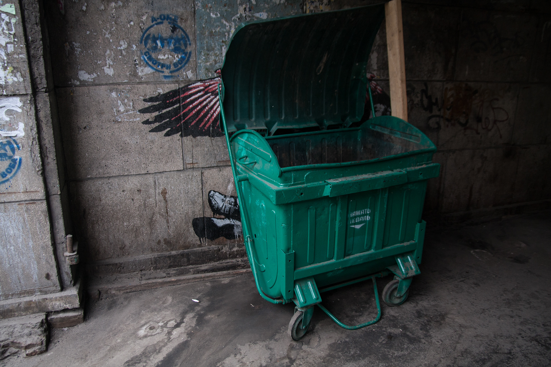 Behind the Dumpster (2009). St. Petersburg, Russia.