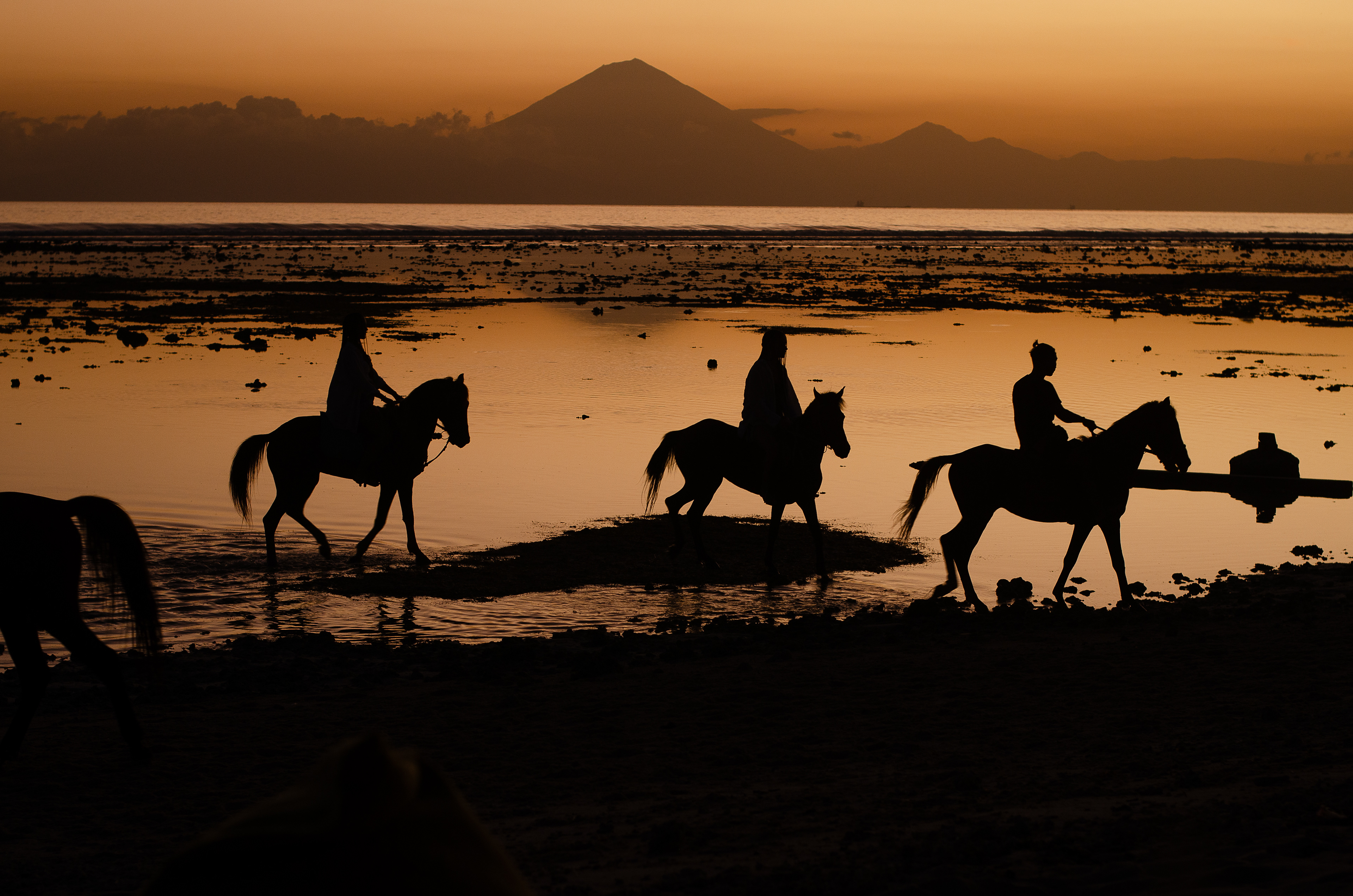 Silhouette von Pfernden und Reitern beim Sonnenuntergang. Gili Trawangan, Indonesien (2023)