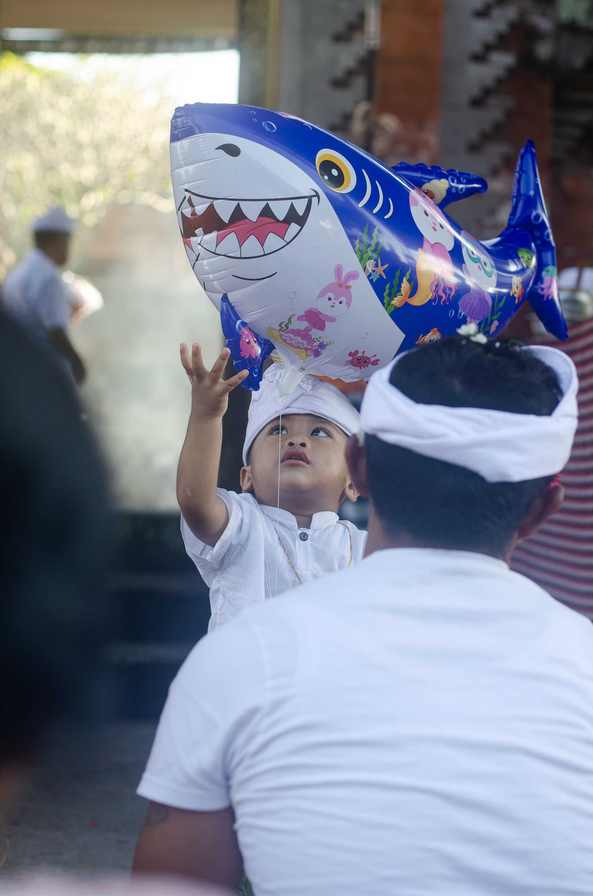 Air Shark (2023). Muncan, Karangasem, Bali, Indonesia.