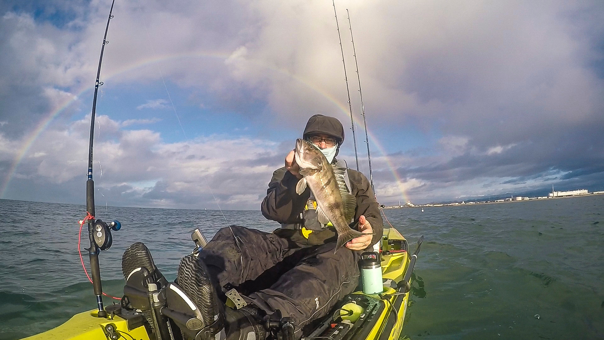 Sand Bass Channel Islands Harbor