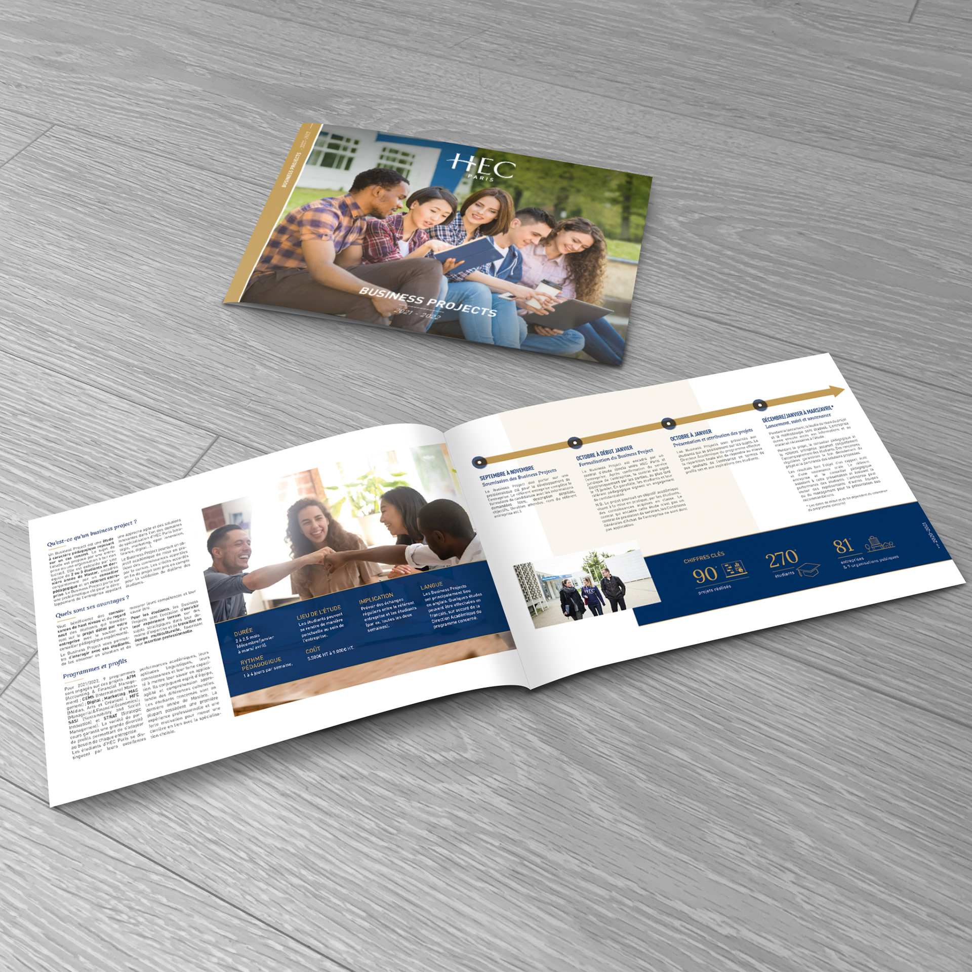 Brochure Business Project