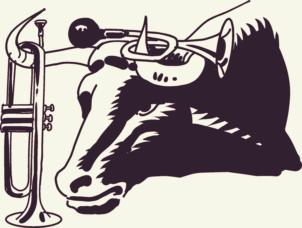 Idiom: Grab a bull by the horns