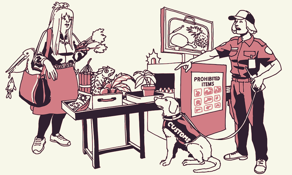 Customs problems