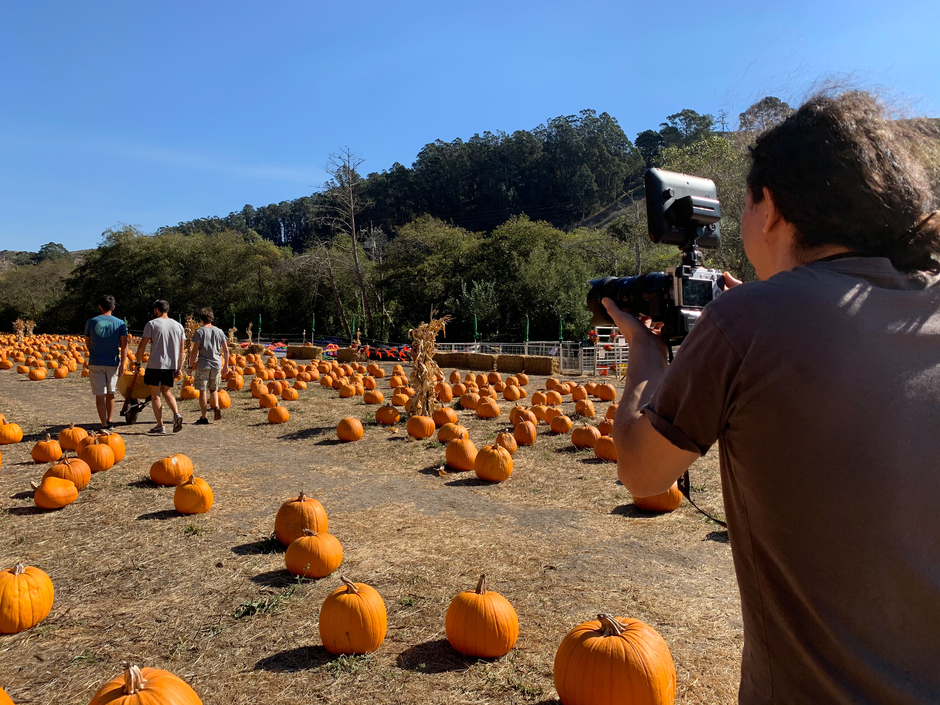 Filming Halloween - Rede Globo