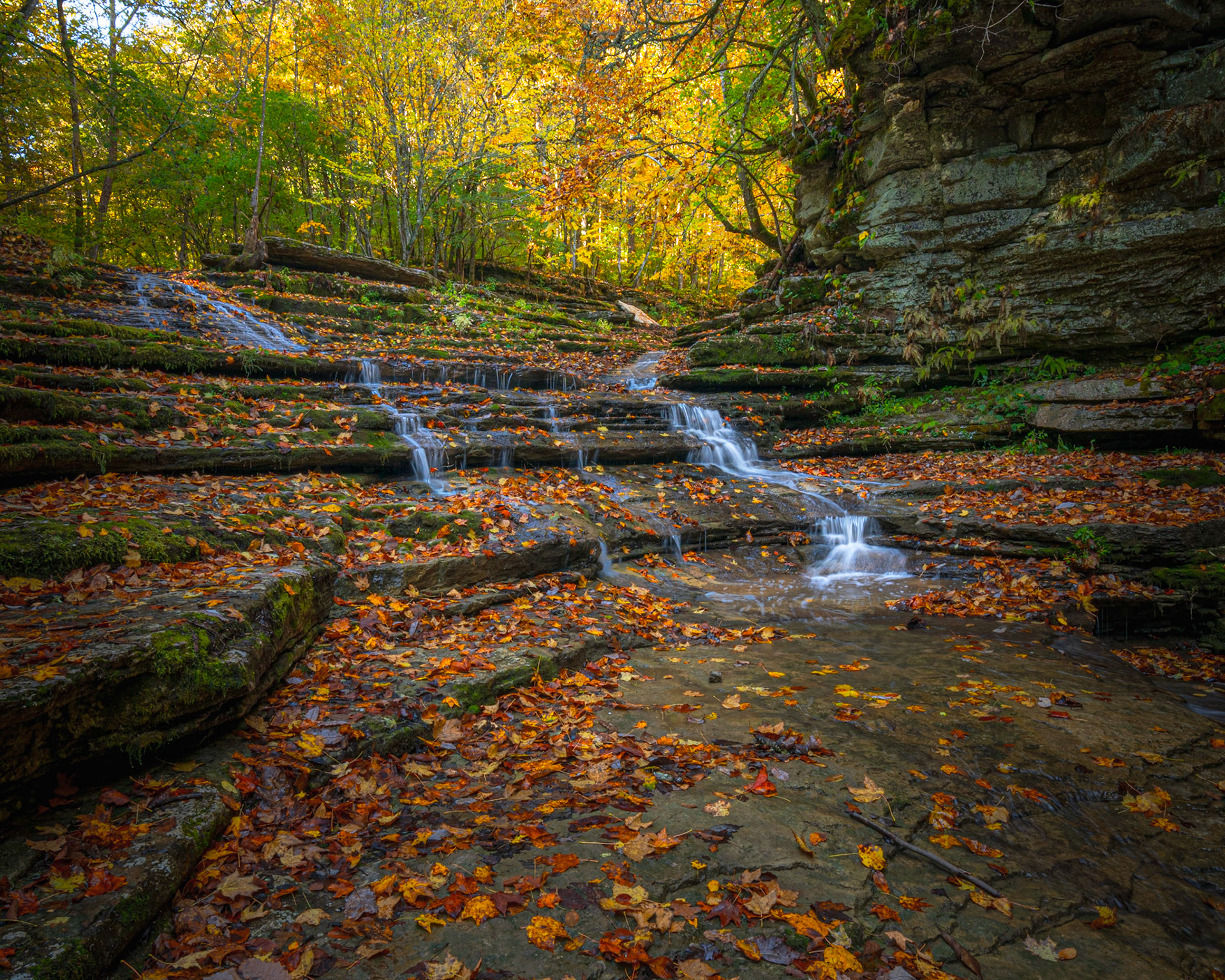 Evans Mill Falls