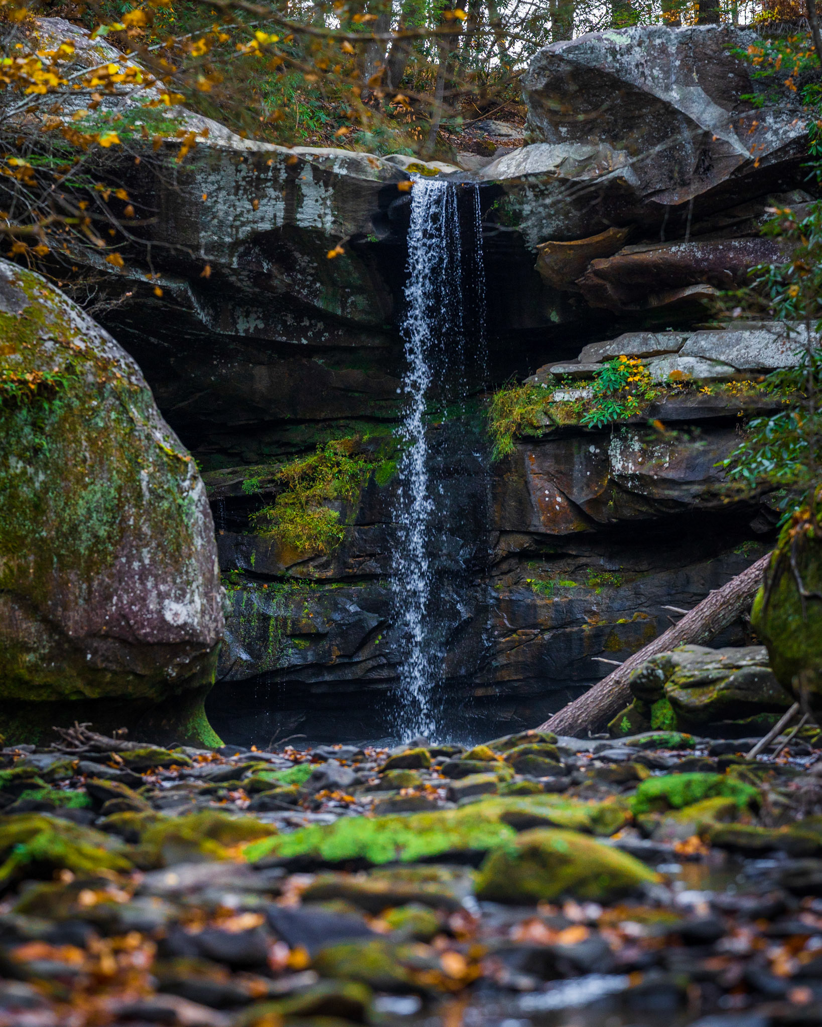 Flat Lick Falls