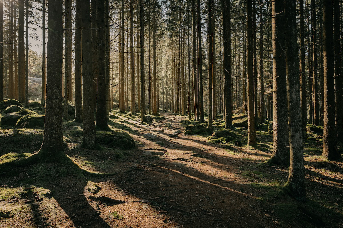 Nature