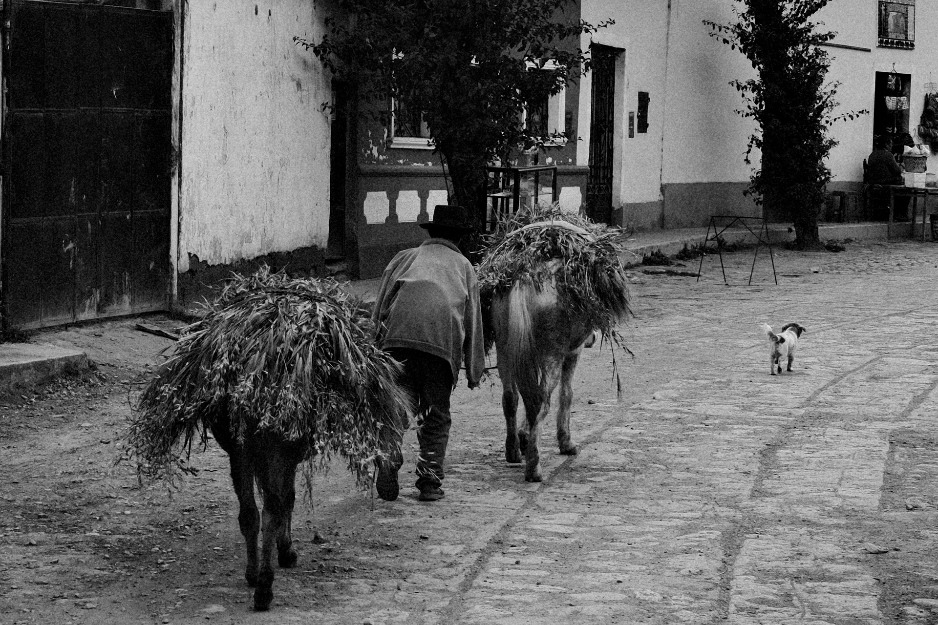 Pasos Cansados / Exhausted walking