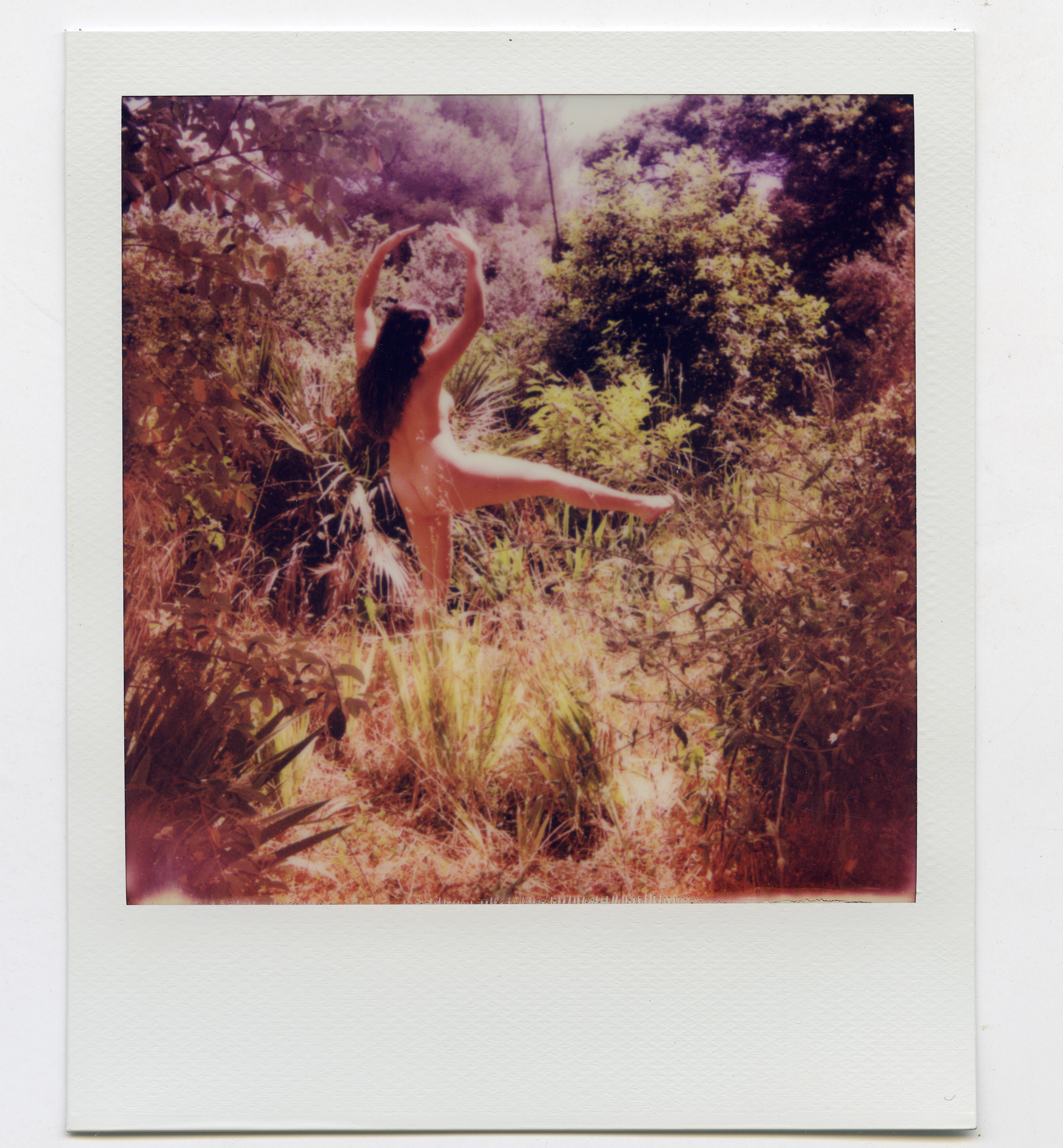 Brune en Pleine Nature