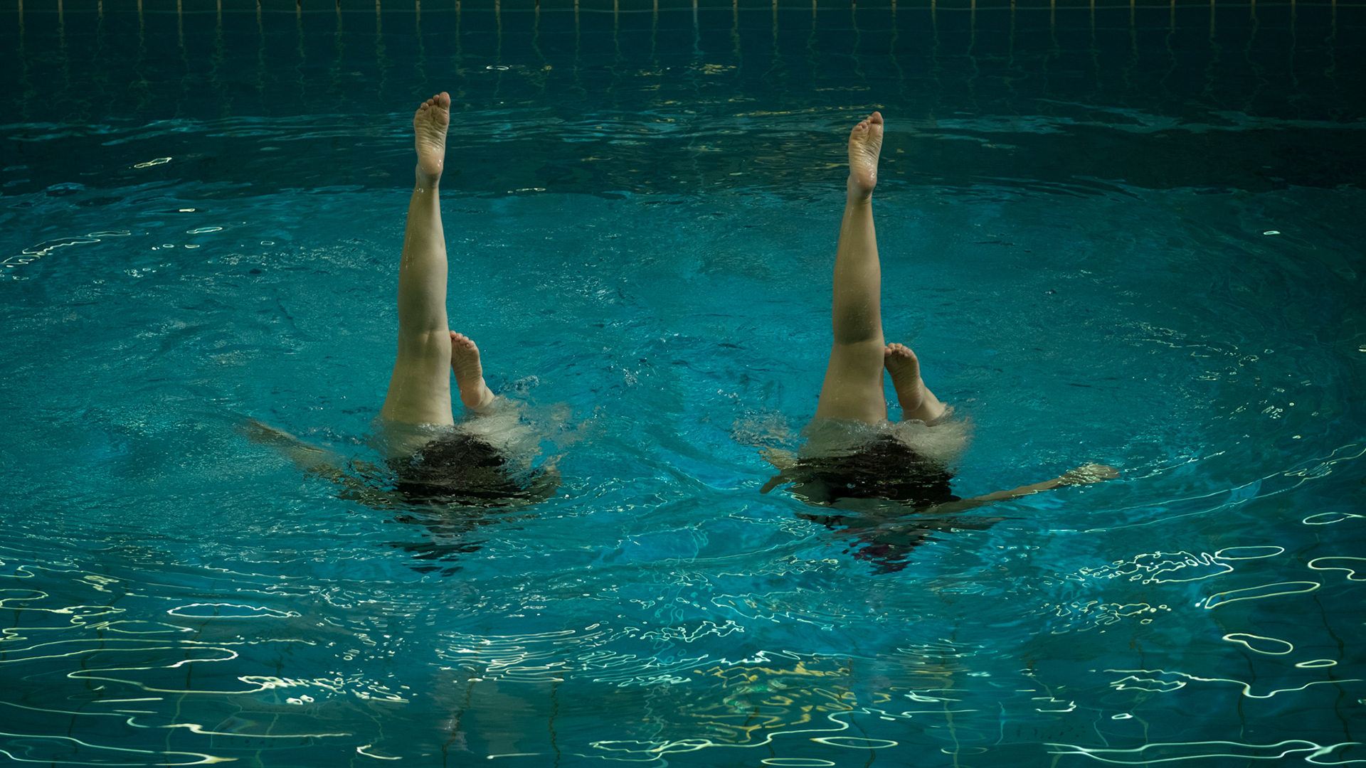 Meine Nachbarn mit dem dicken Hund