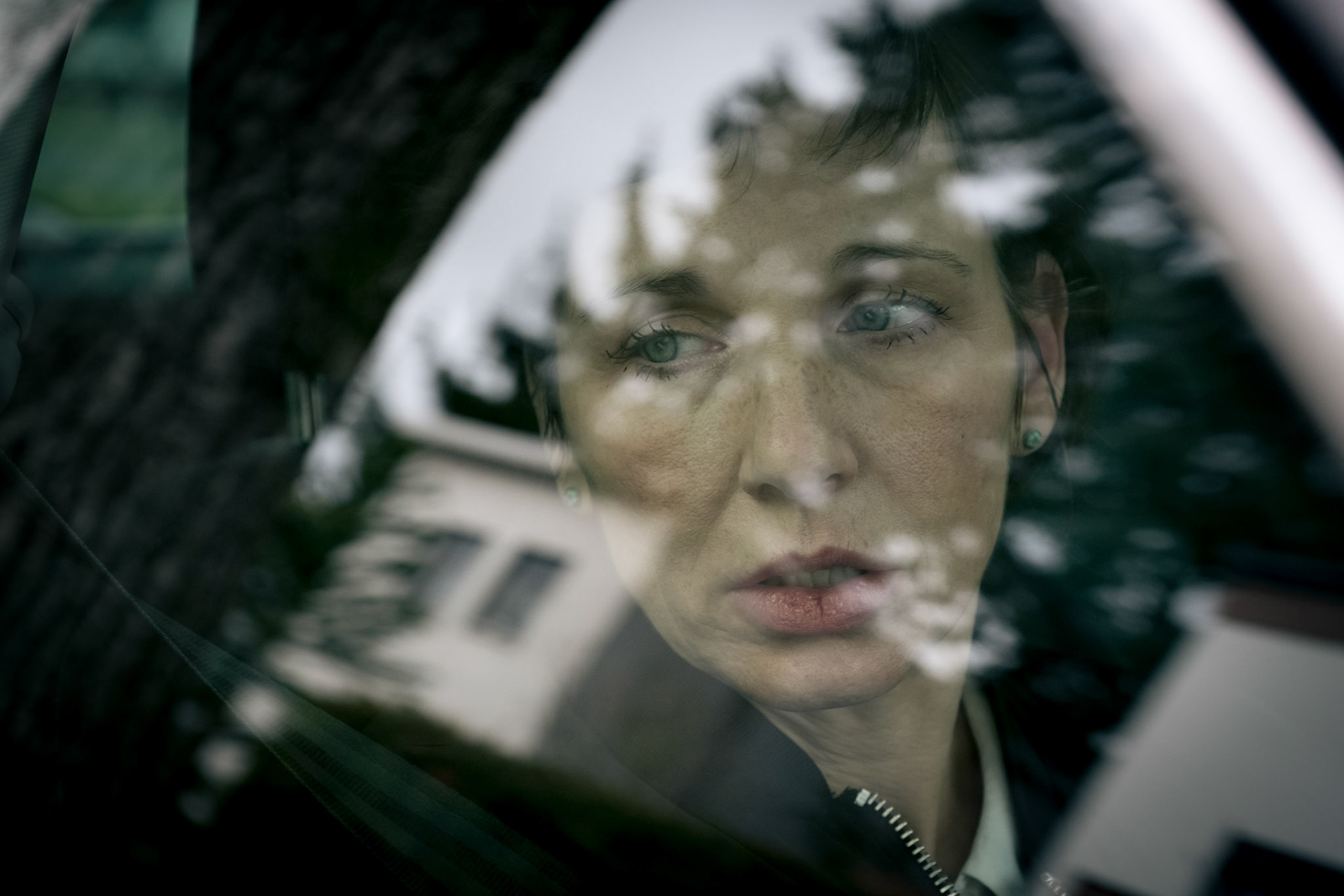 TATORT-Tiere der Großstadt